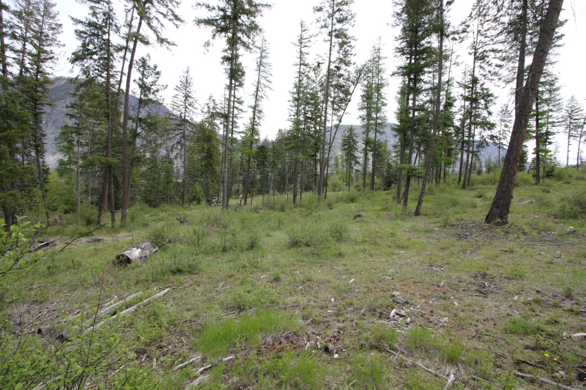Plains, Montana, 59859, United States, ,Residential,For Sale,1921183