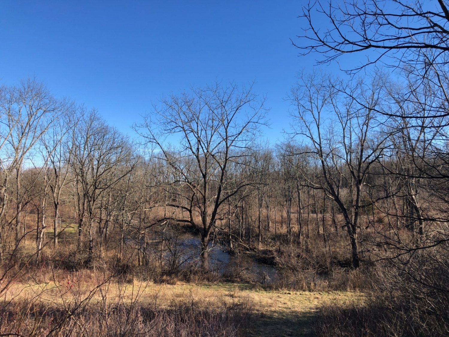 Frankford Twp., New Jersey, 07826, United States, ,Land,For Sale,1794395