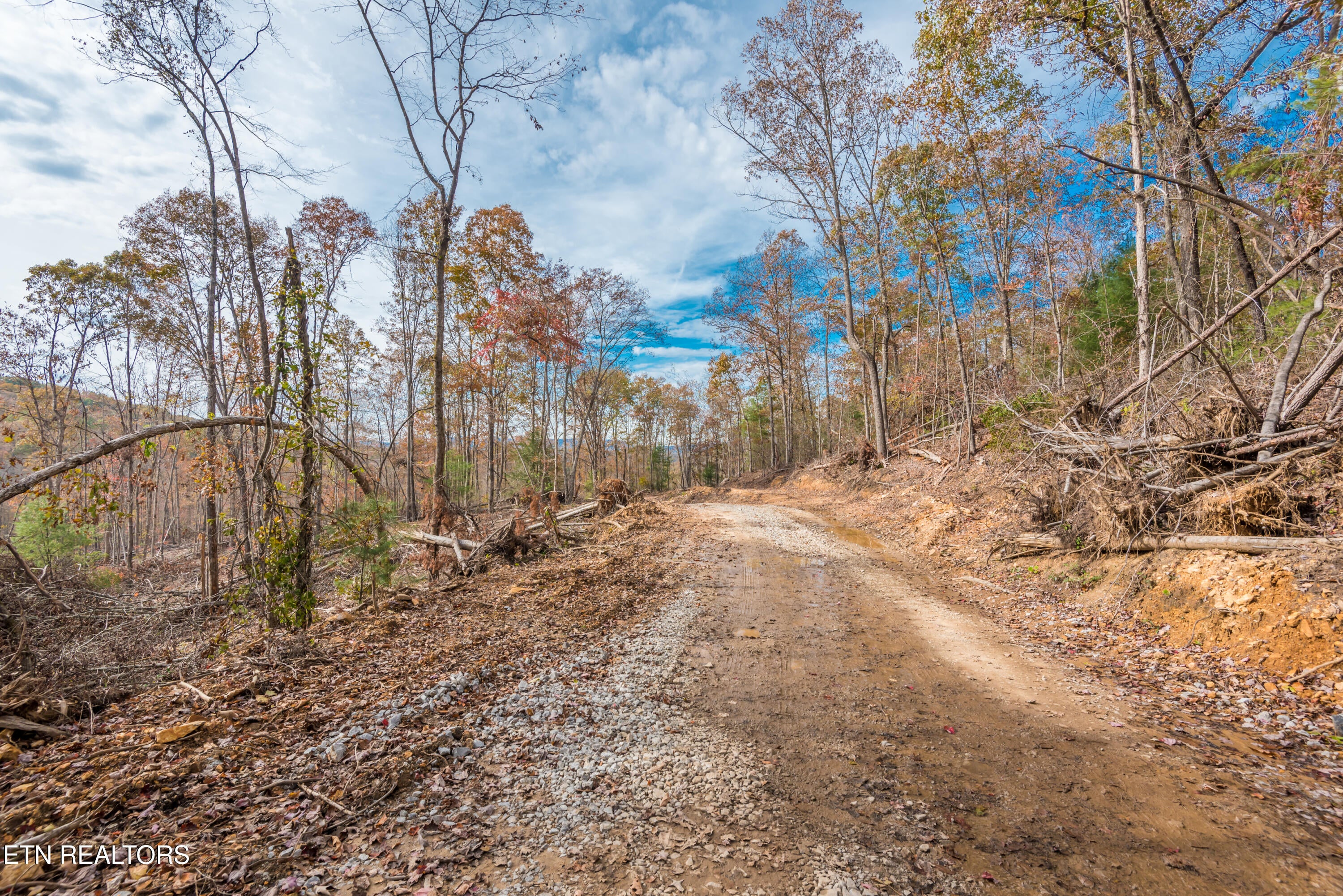 Rockwood, Tennessee, 37854, United States, ,Land,For Sale,1806468