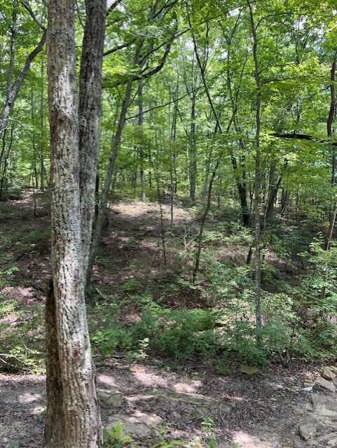 Graysville, Tennessee, 37338, United States, ,Residential,For Sale,1943907