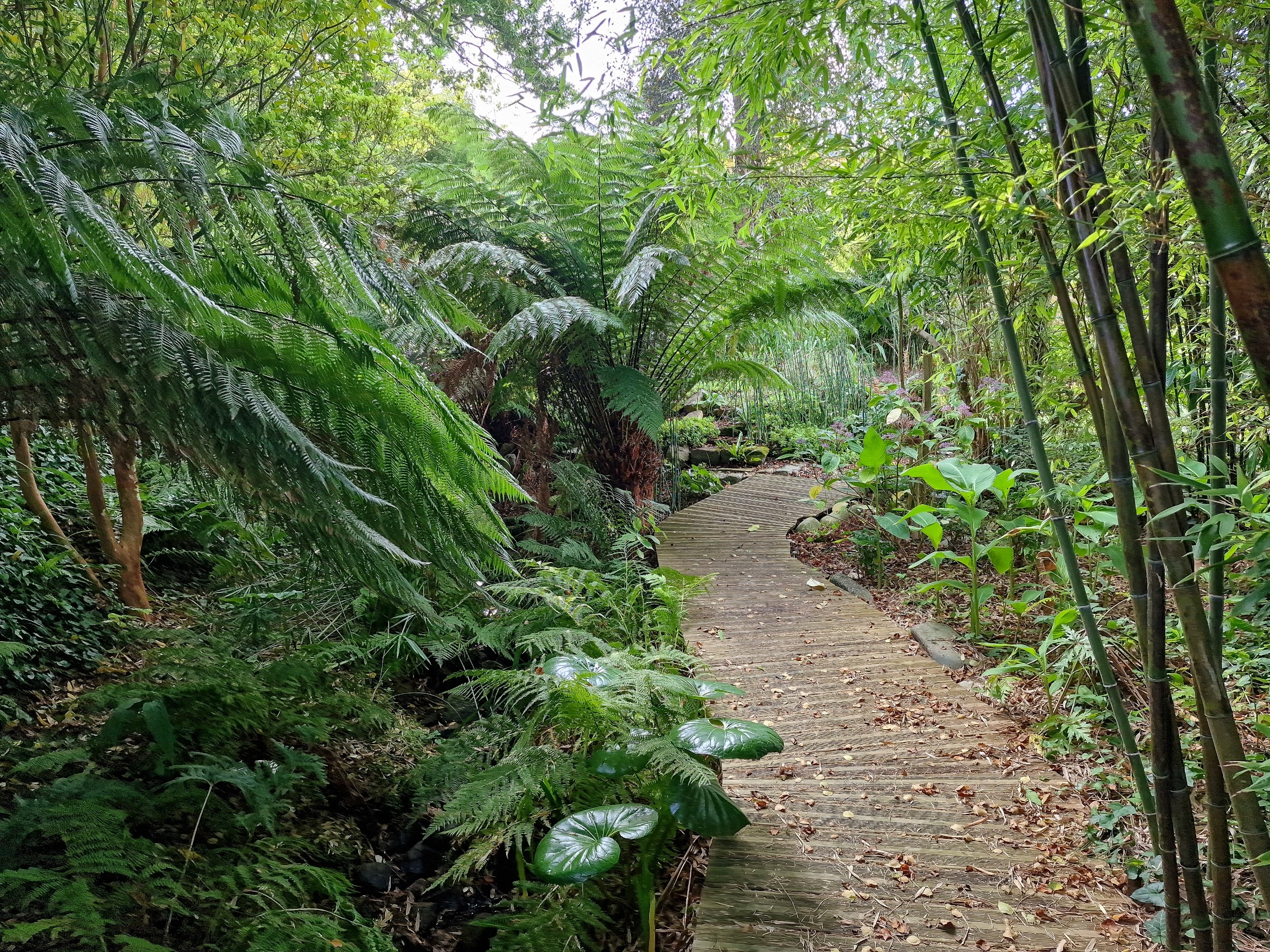  Marvellous property with a 5 acres park overlooking the sea bewteen Buguélès an… - 物件實景