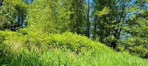 Lake Stevens, Washington, 98258, United States, ,Land,For Sale,1804335