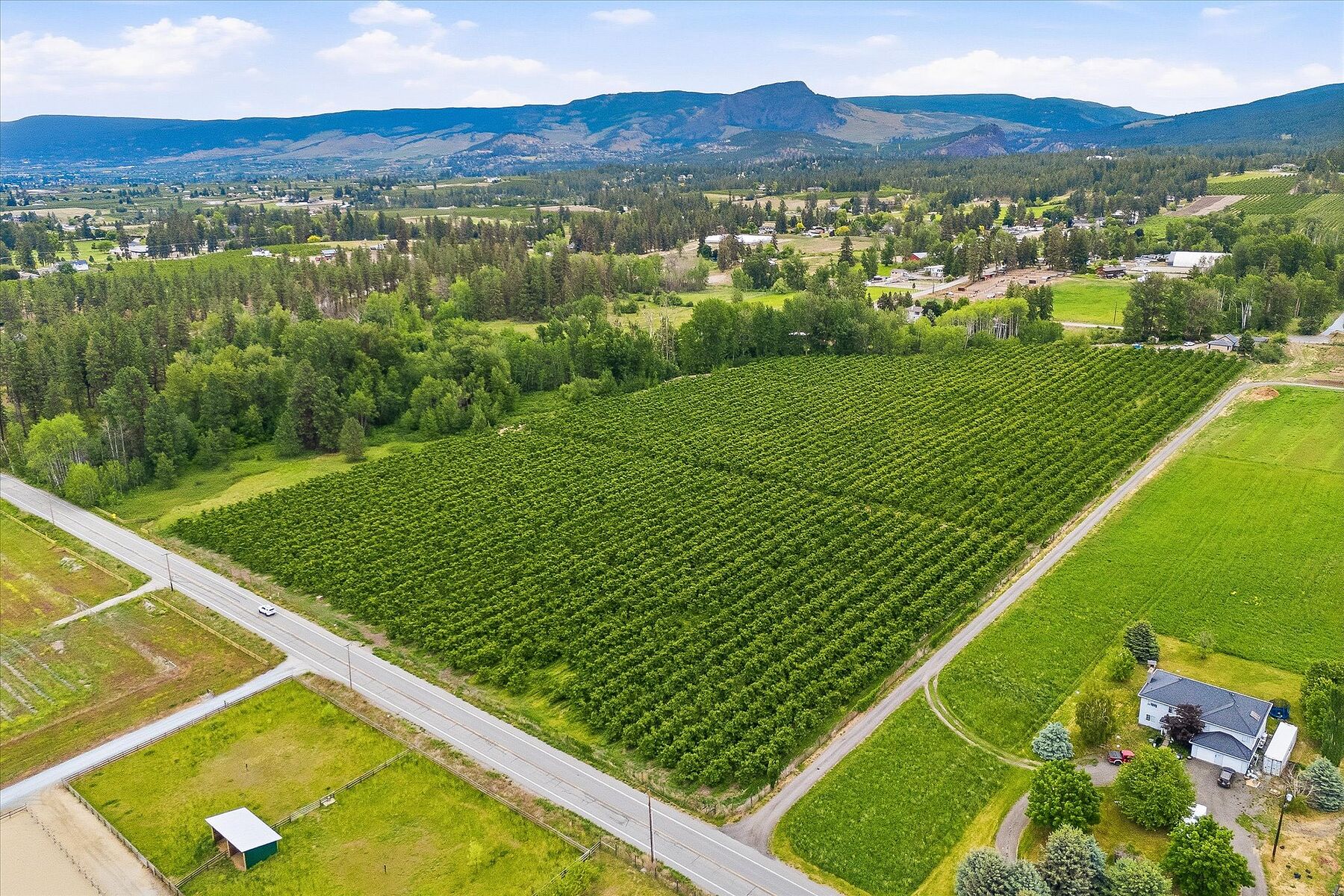  17.66 Acre Cherry Orchard - 物件實景