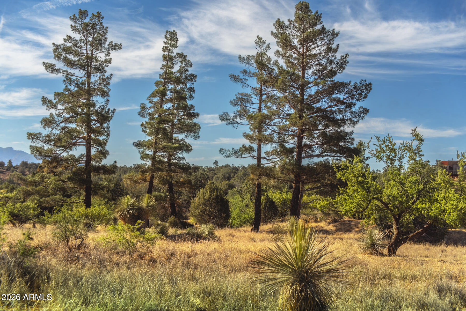  80 Altair Avenue, Sedona, AZ 86336 - 物件實景