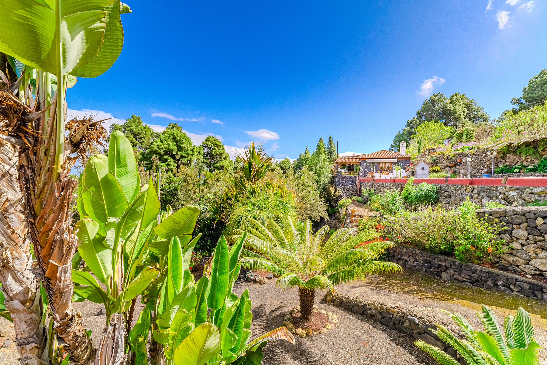  Rustic farmhouse in Icod de los Vinos, Tenerife - 物件實景