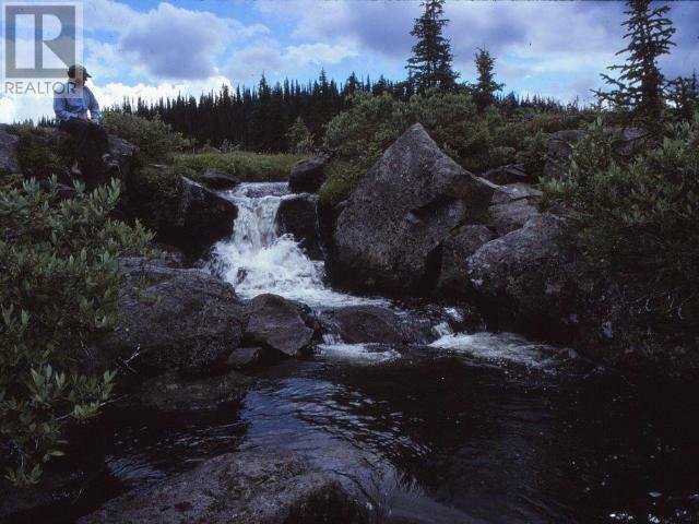 WELLS GRAY, British Columbia, V0E 1N1, CA, 1 Bedroom Bedrooms, ,1 BathroomBathrooms,Residential,For Sale,1838822