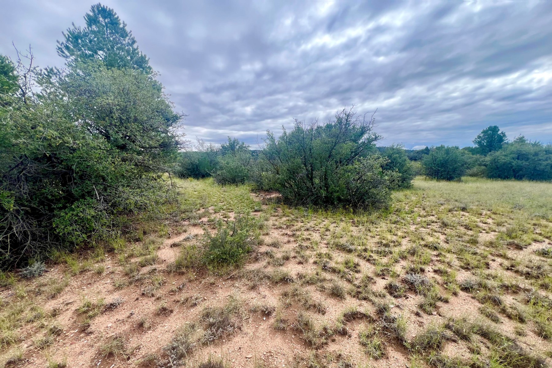  14565 N Puntenney Road¦Prescott, AZ - 物件實景