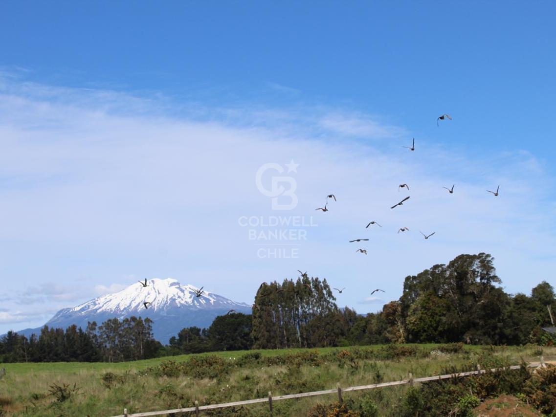 Puerto Varas, Chile, 5 Bedrooms Bedrooms, ,4 BathroomsBathrooms,Residential,For Sale,1962371