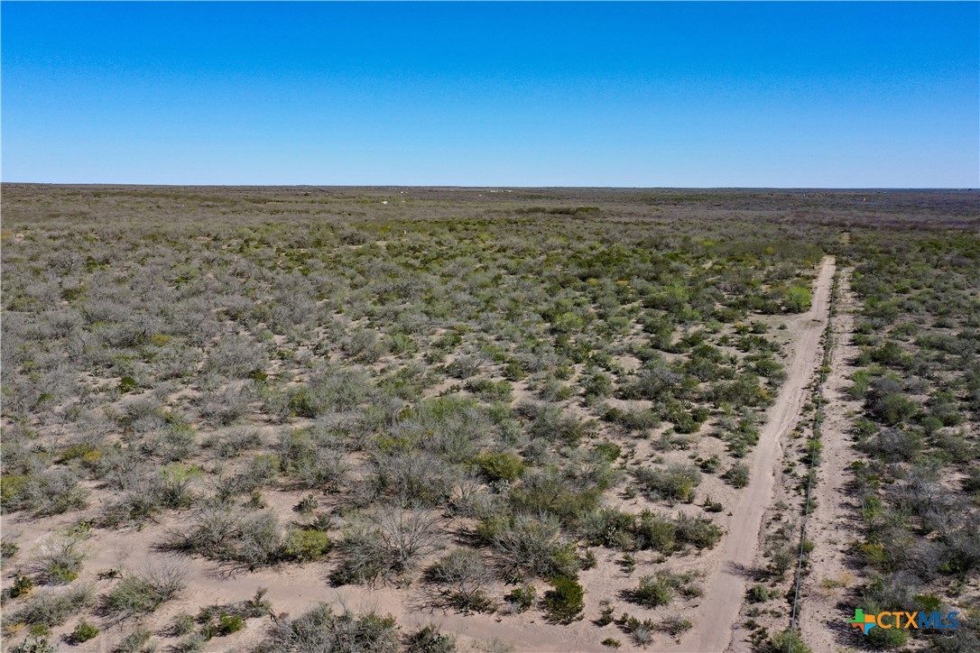 George West, Texas, 78022, United States, ,Land,For Sale,1738703