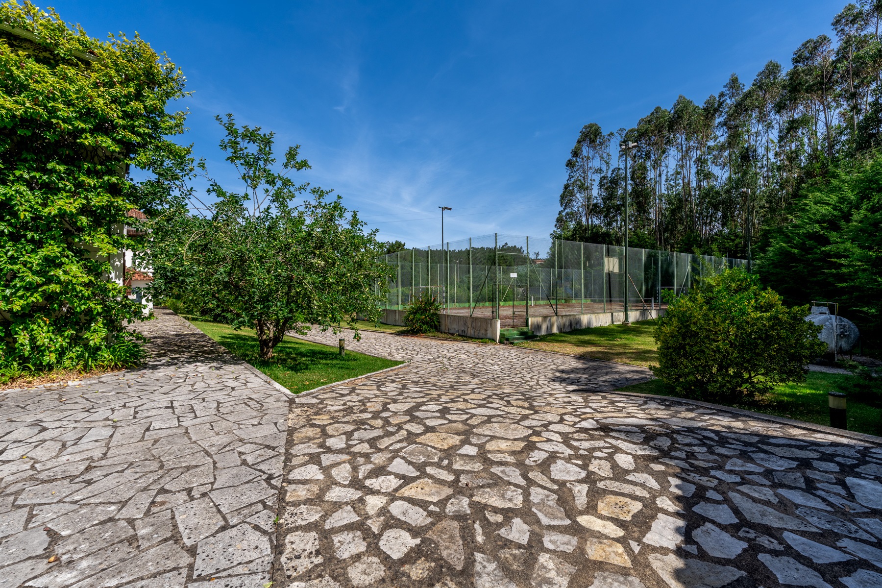  Country Estate, 15 bedrooms, for Sale - 物件實景