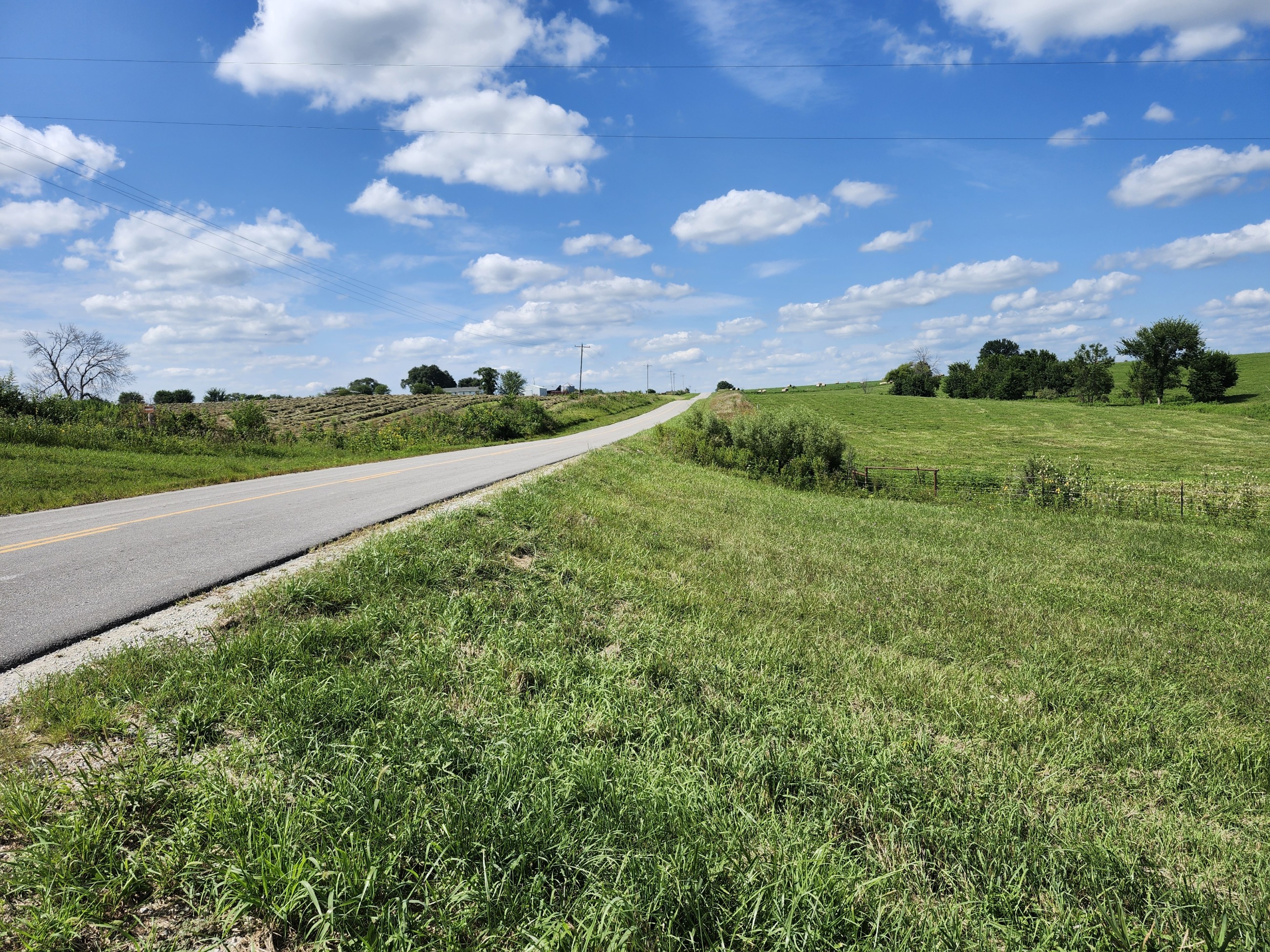 Princeton, Missouri, 64673, United States, ,Land,For Sale,2001559