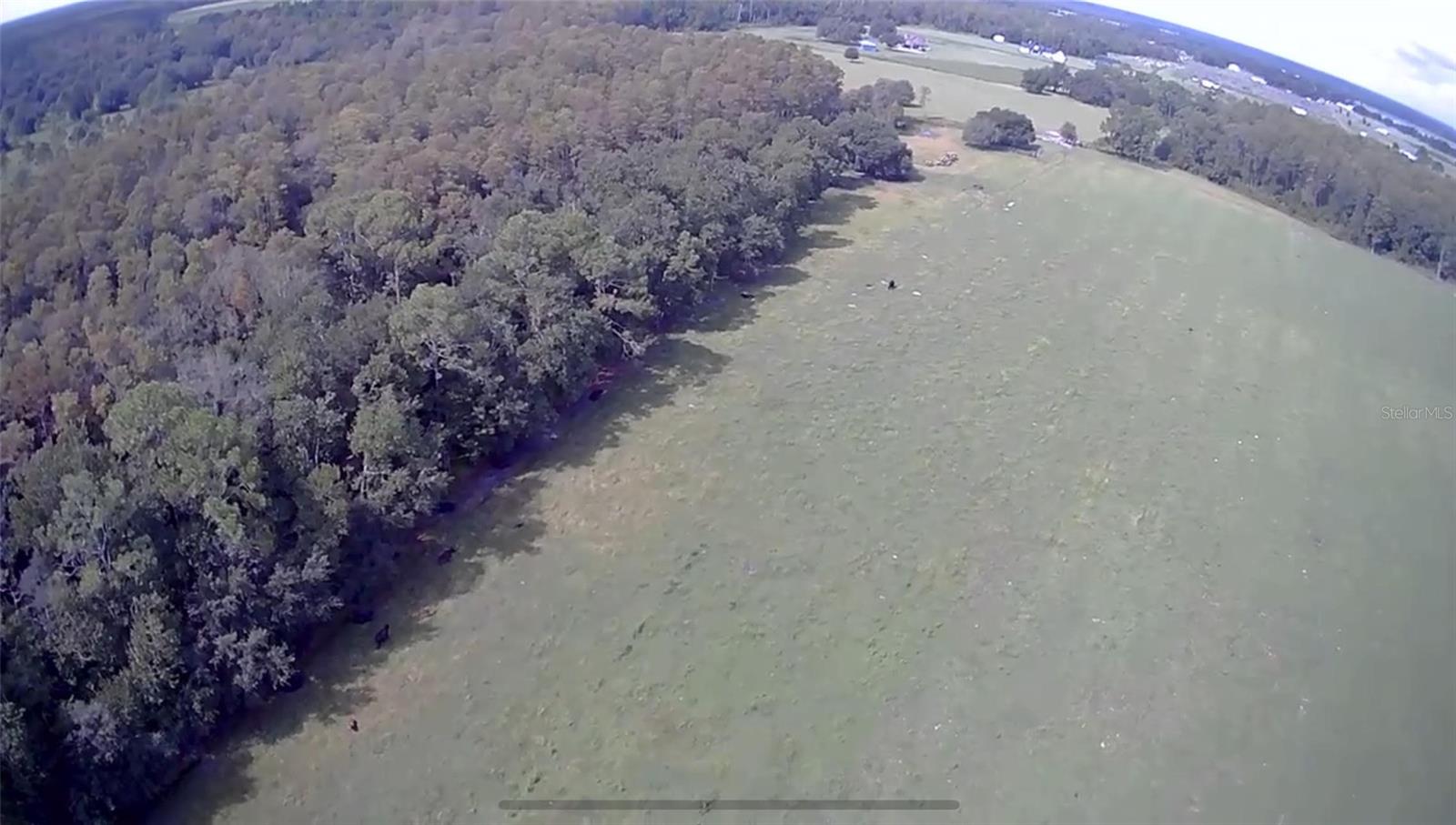 CLERMONT, Florida, 34714, United States, ,Land,For Sale,1982027