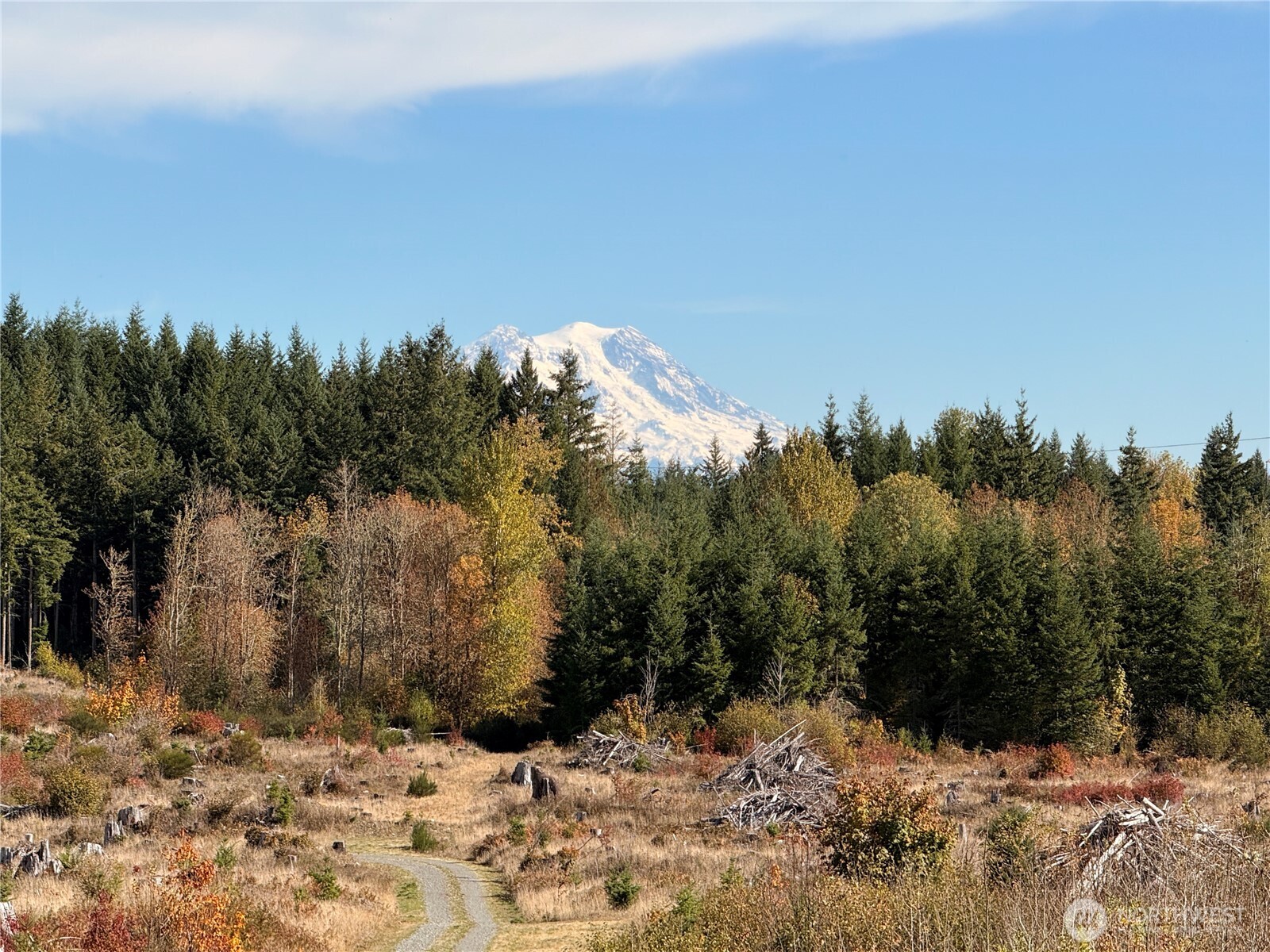 Rainier, Washington, 98576, United States, ,Land,For Sale,1998419