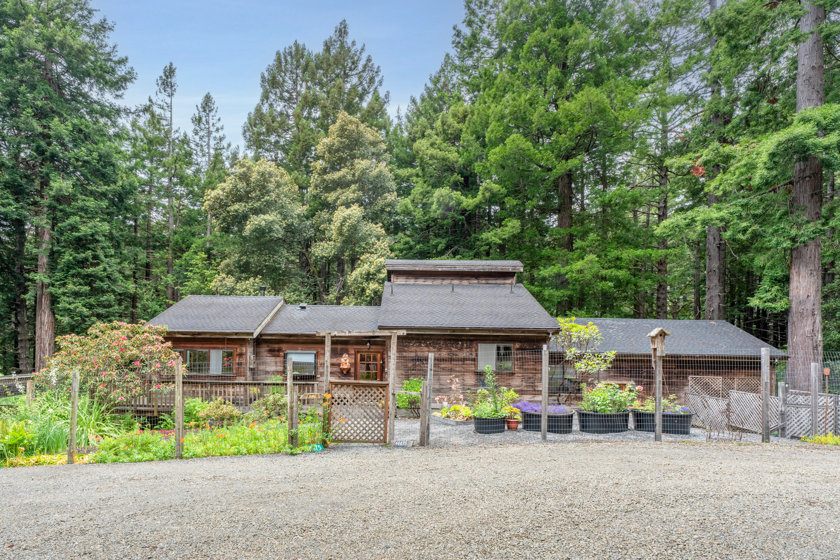  Forest Sanctuary Near Mendocino - 物件實景