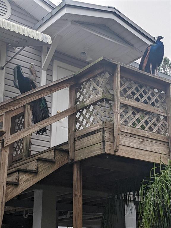 Punta Gorda, Florida, 33982, United States, 1 Bedroom Bedrooms, ,1 BathroomBathrooms,Residential,For Sale,1955631