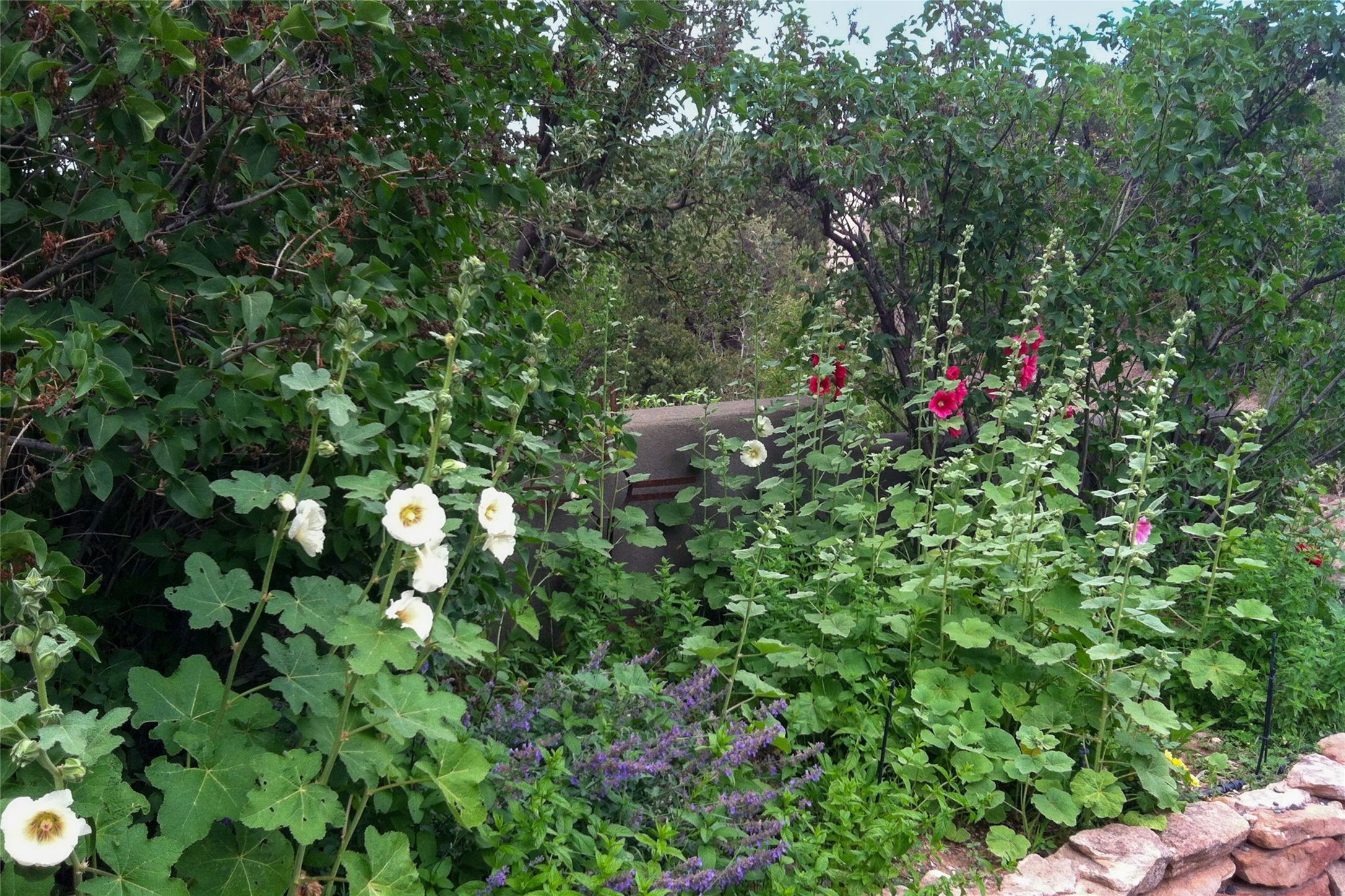  7 Cibola Circle - 物件實景