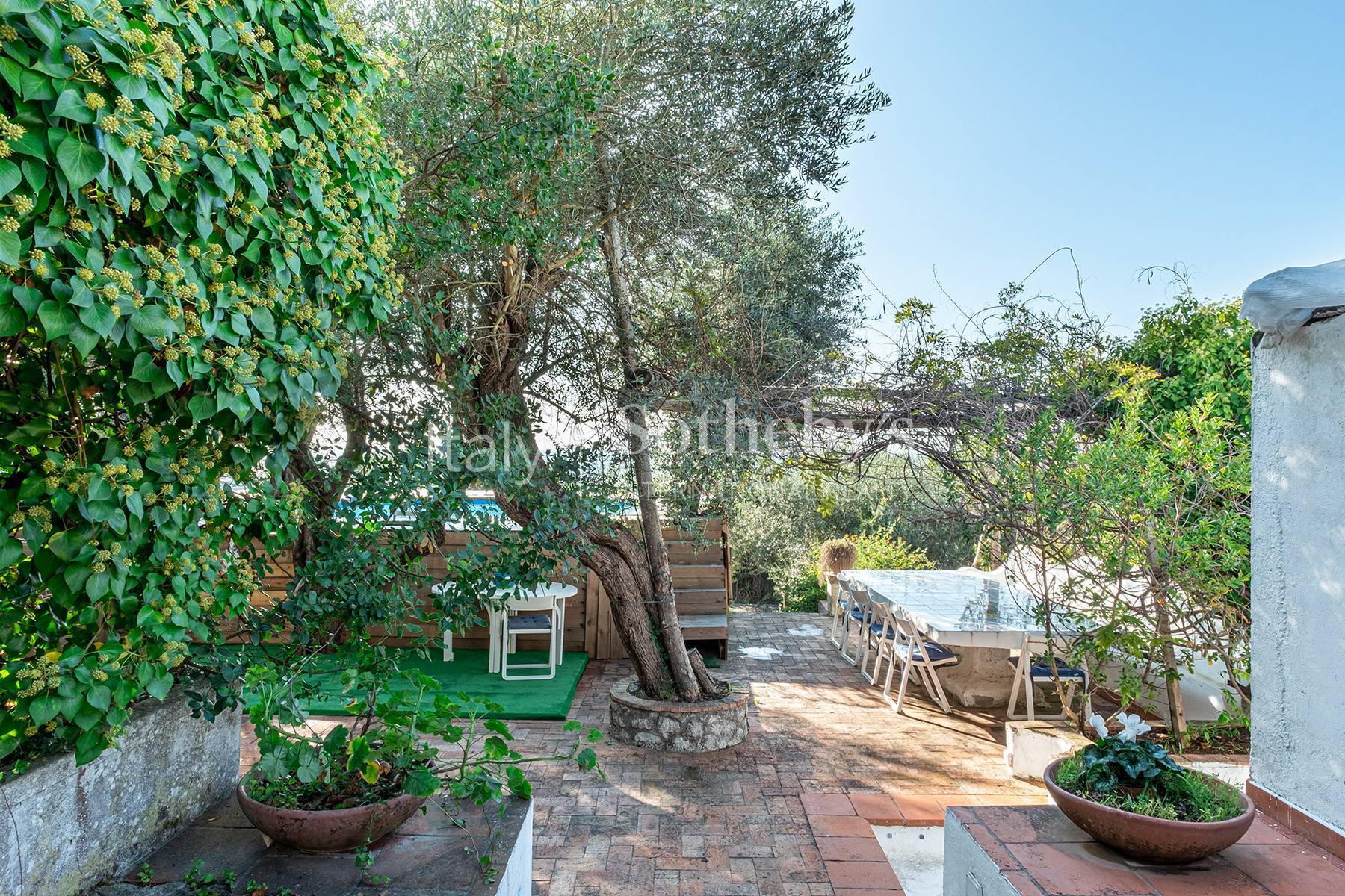  Charming villa with olive grove and swimming pool overlooking the sea - 物件實景
