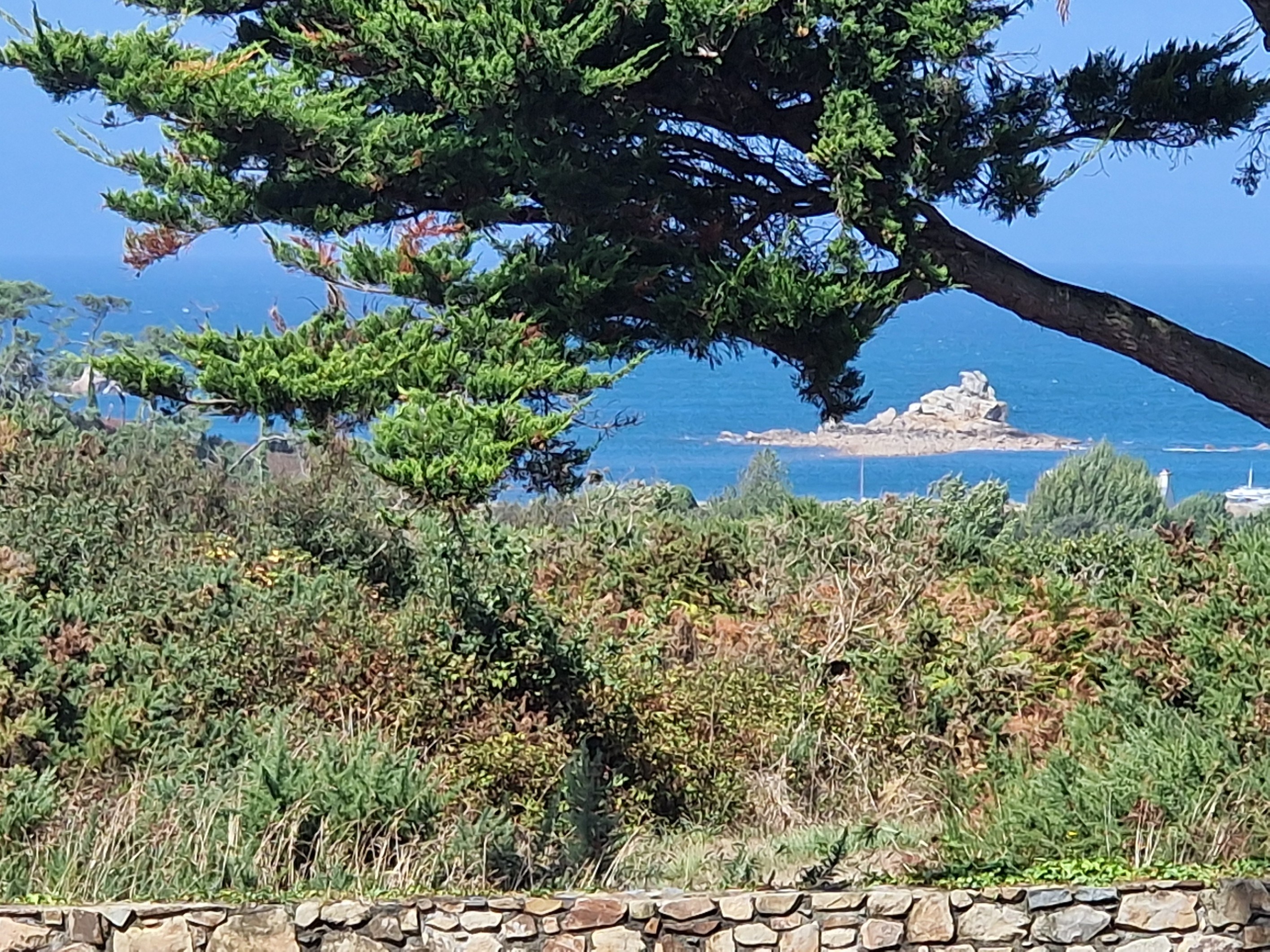  An Exceptional Coastal Estate in Plougrescant: A Canvas for Bespoke Luxury - 物件實景