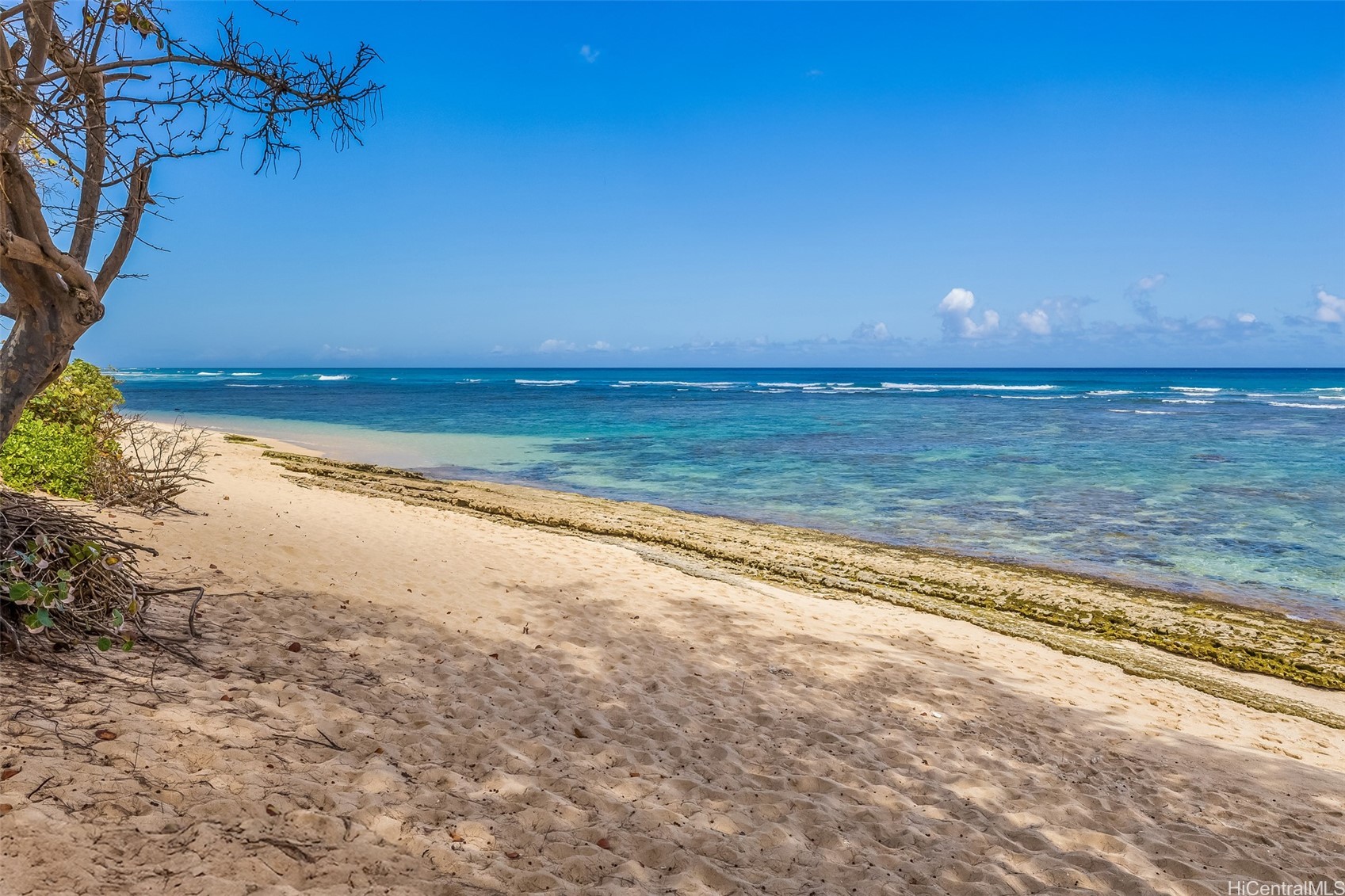 Waialua, Hawaii, 96791, United States, ,Land,For Sale,1792856