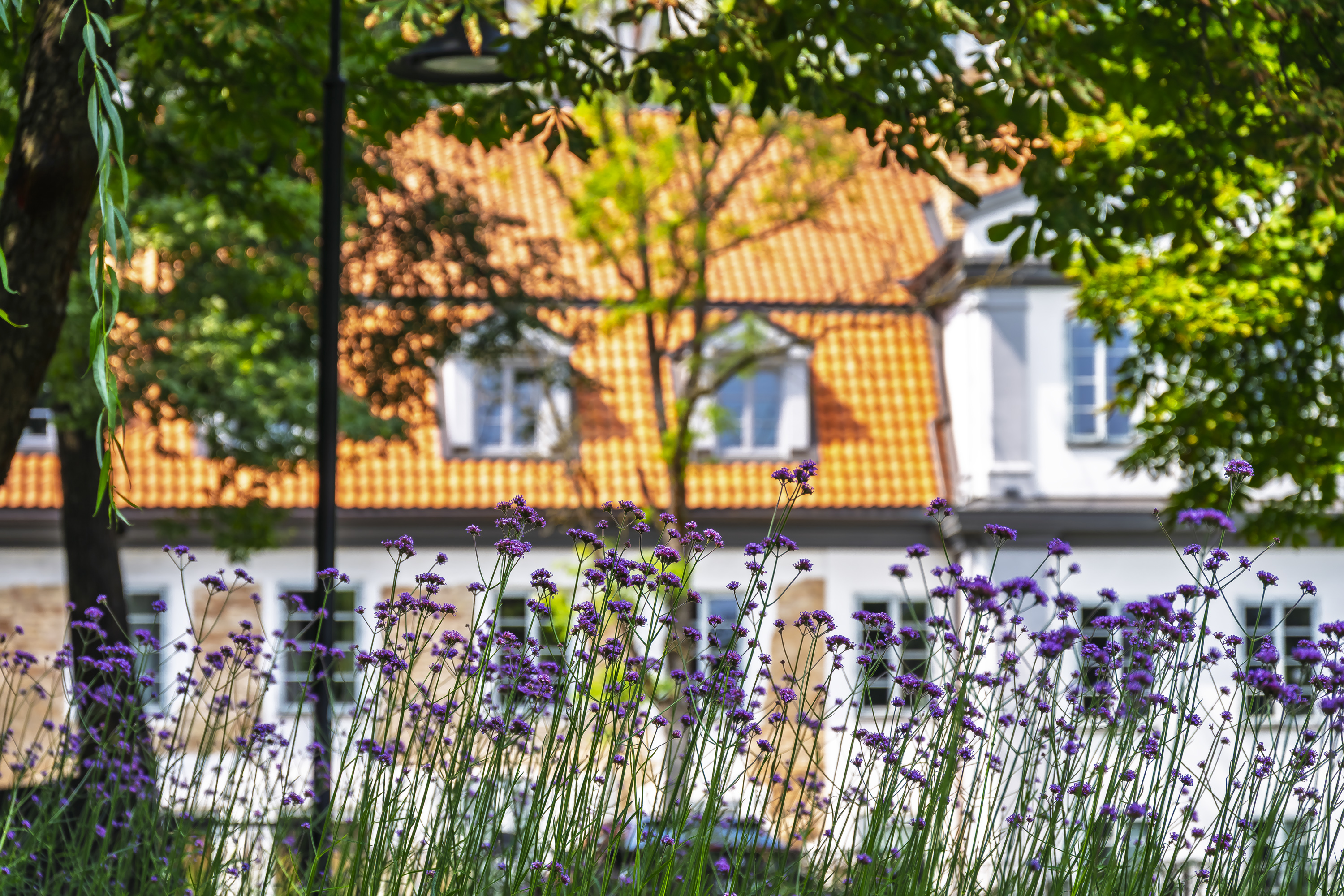  A Timeless Top-Floor Residence in the Heart of Vilnius Old Town - 物件實景