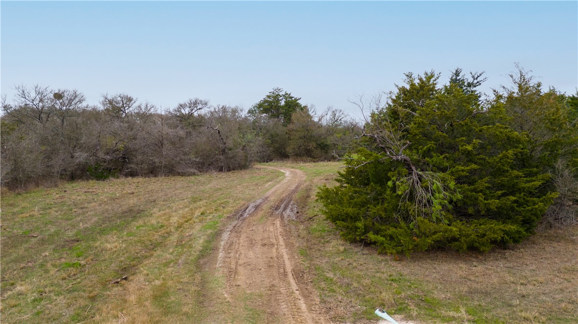 Thornton, Texas, 76687, United States, ,Land,For Sale,2003074