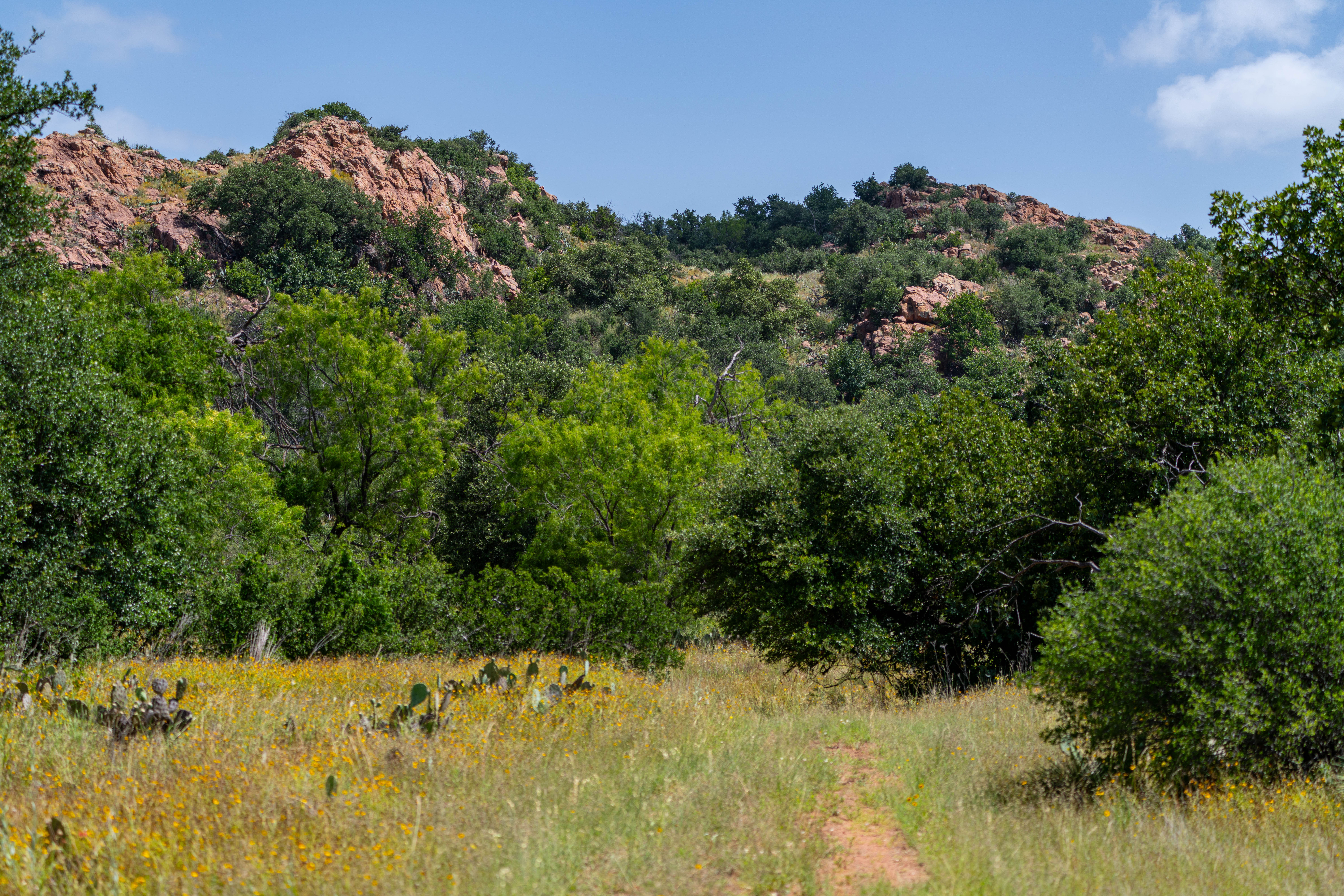  SmithCo Mountain Ranch - 物件實景