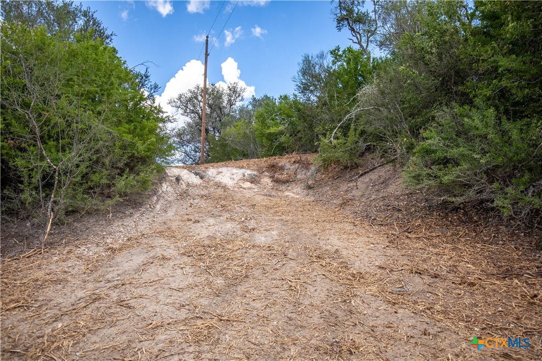 Cuero, Texas, 77954, United States, ,Residential,For Sale,1963995