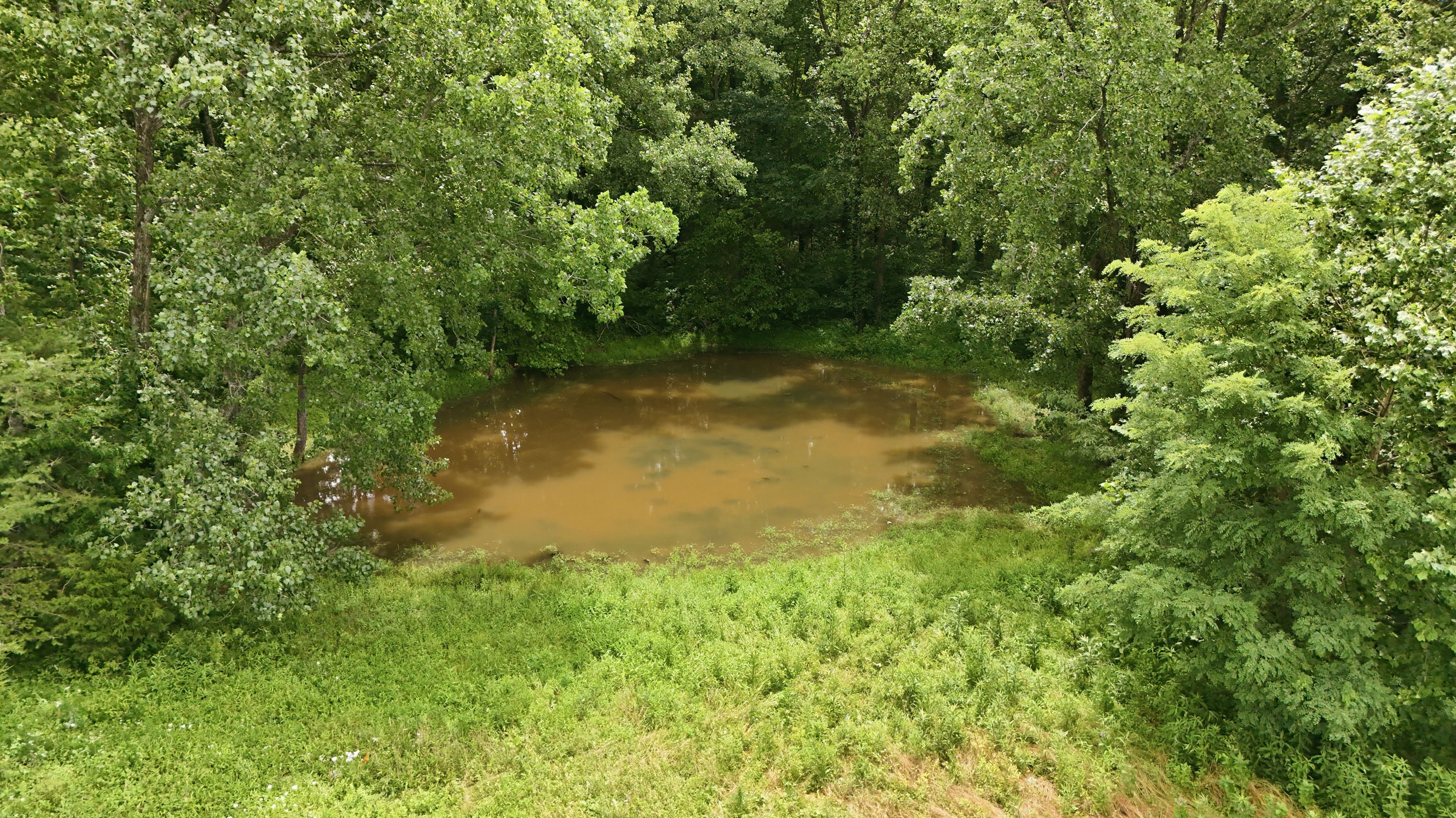  3850 Smith Lane, La Grange, KY 40031 - 物件實景