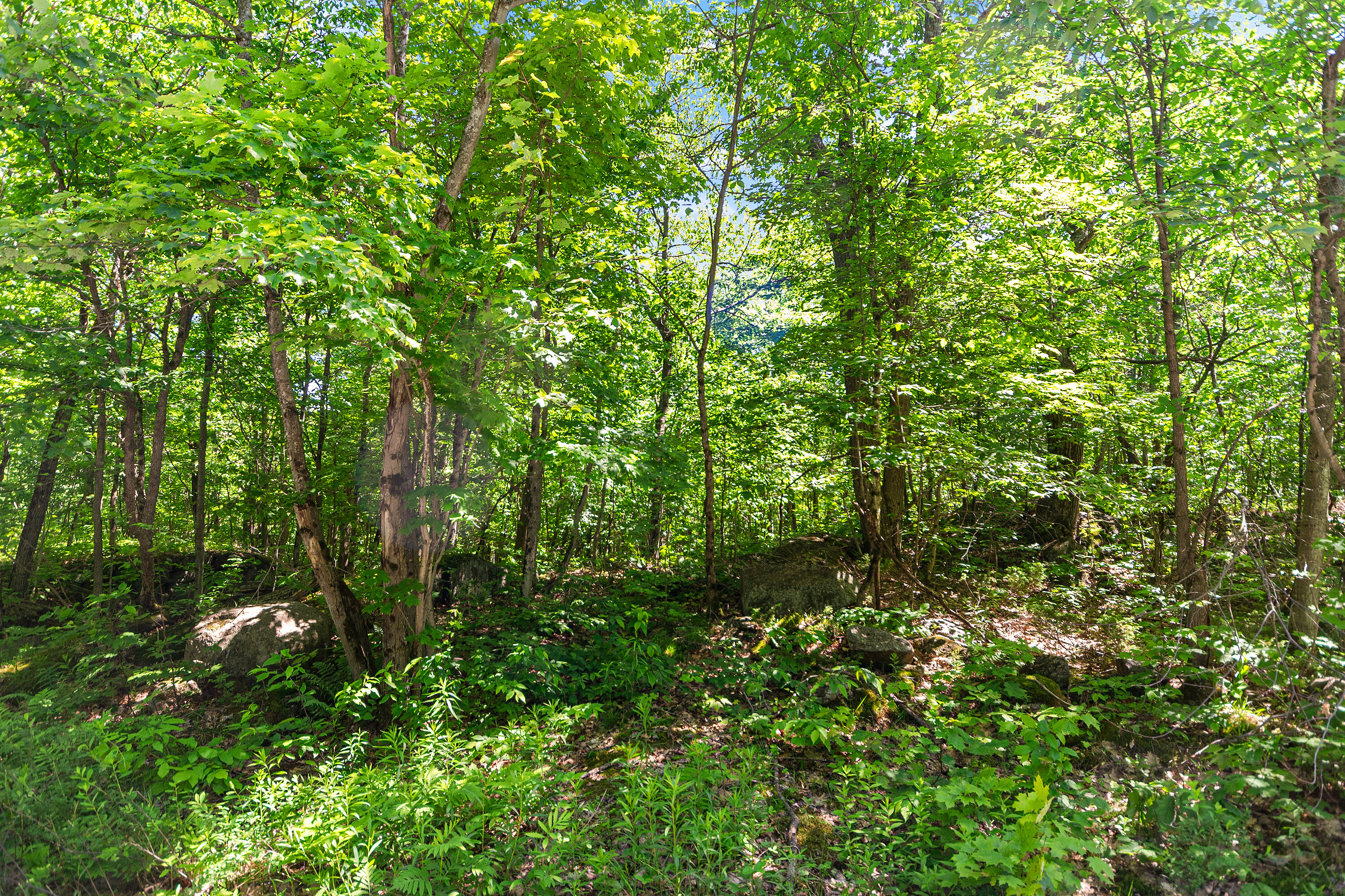  Parry Sound Area Building Lot - 物件實景