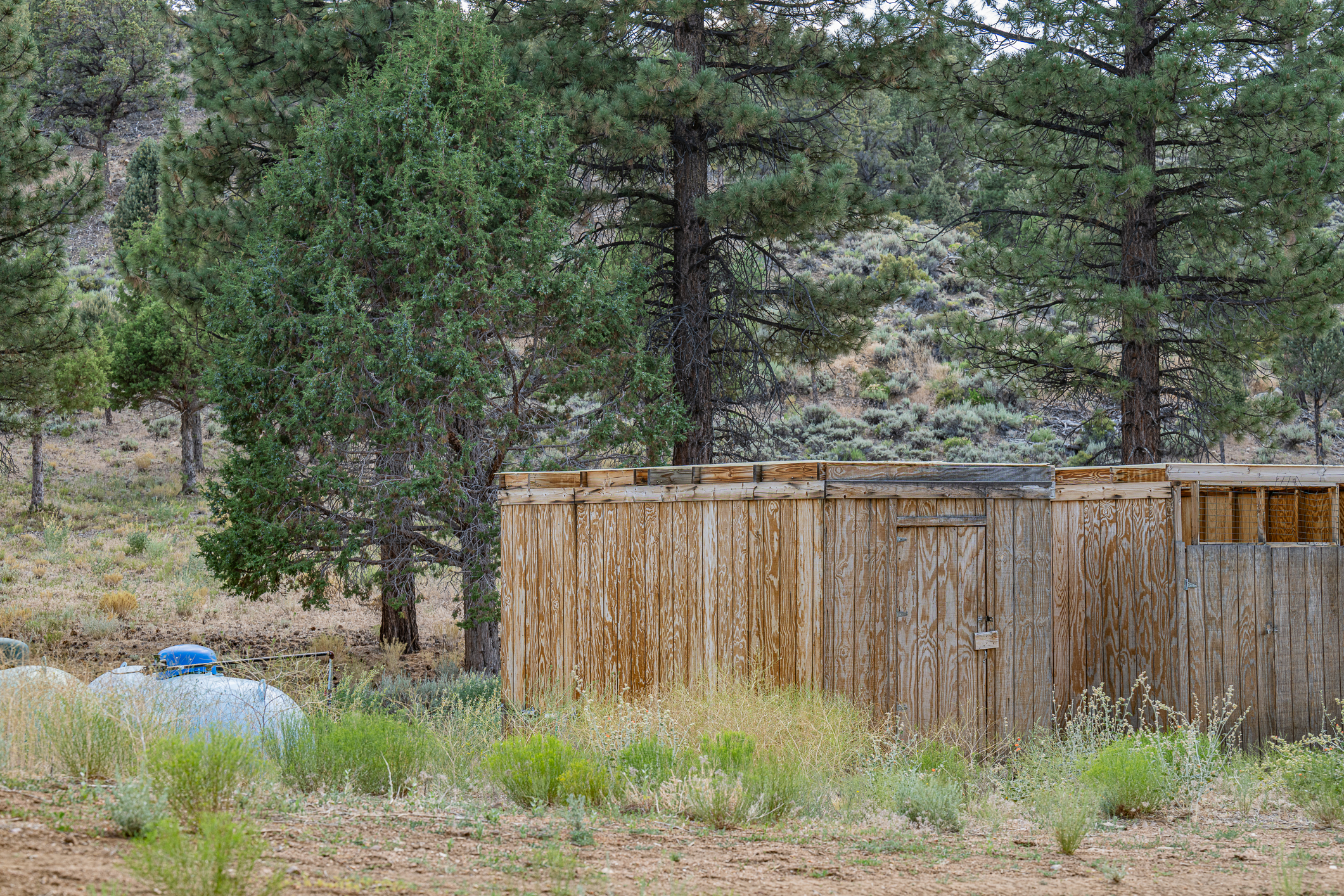  550 Eagle Ridge Road, Big Bear Lake, CA 92314 - 物件實景