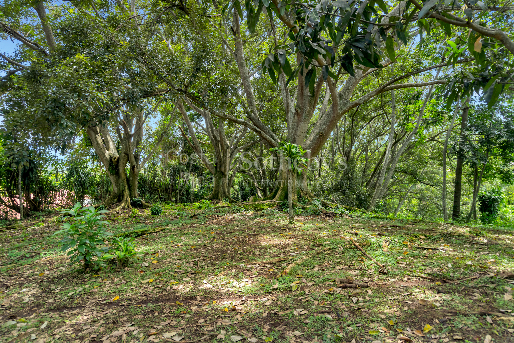  Atenas Highlands Eco Estate - 物件實景