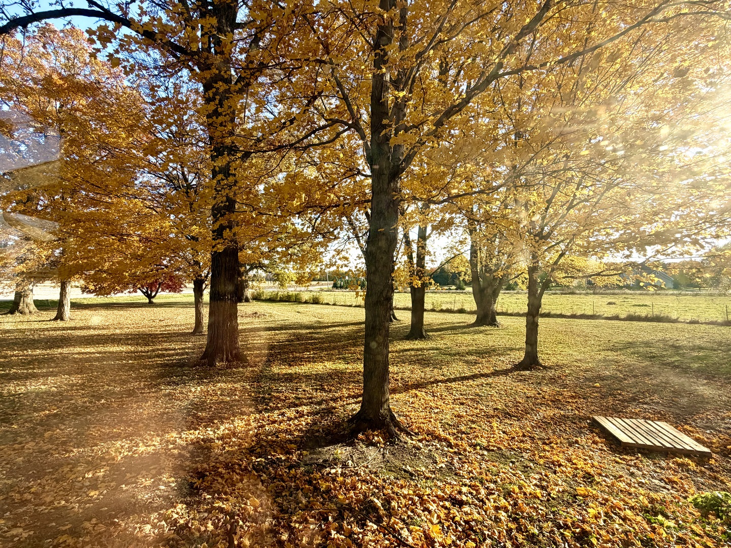 Sycamore, Illinois, 60178, United States, 4 Bedrooms Bedrooms, ,3 BathroomsBathrooms,Residential,For Sale,1988163
