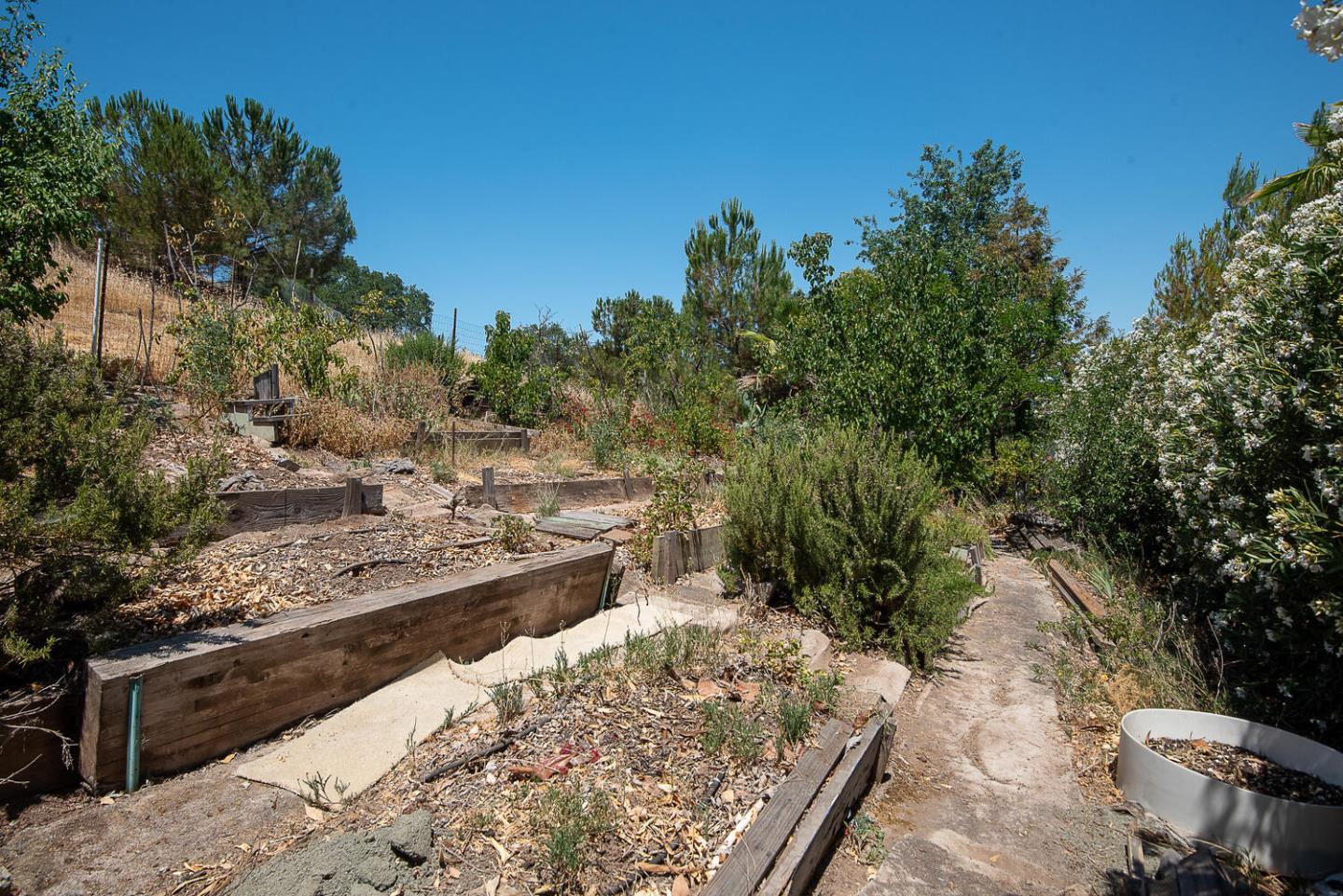 San Jose - Blossom Valley, California, 95123, United States, 4 Bedrooms Bedrooms, ,2 BathroomsBathrooms,Residential,For Sale,1732910