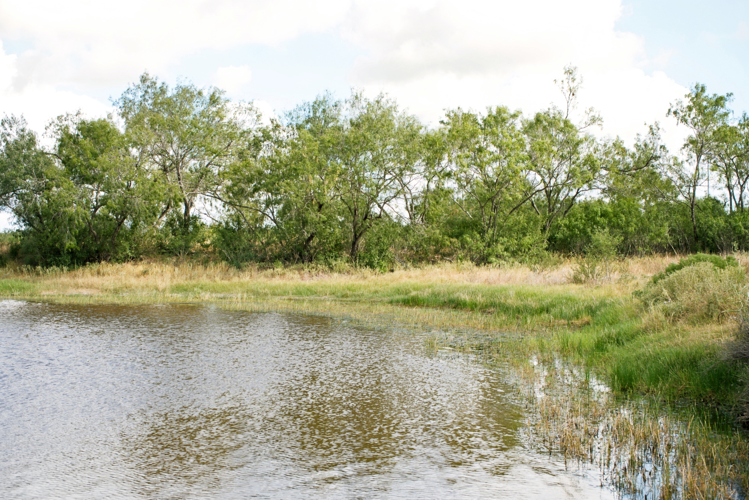  1234.89 +/- Acres, Santa Clara Ranch, Atascosa County, Falls City, TX 78113 - 物件實景