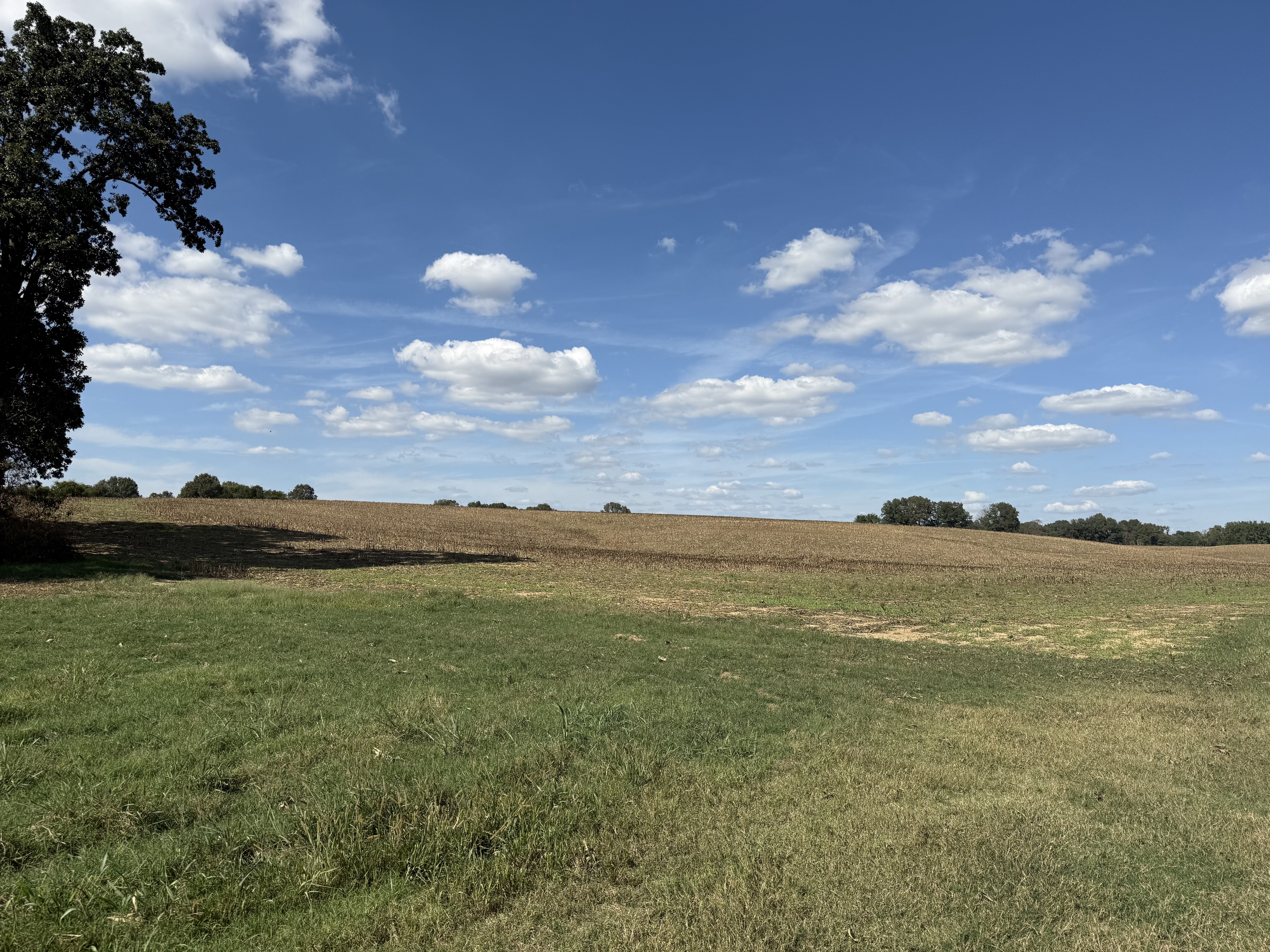 Union City, Tennessee, 38261, United States, ,Land,For Sale,1983547