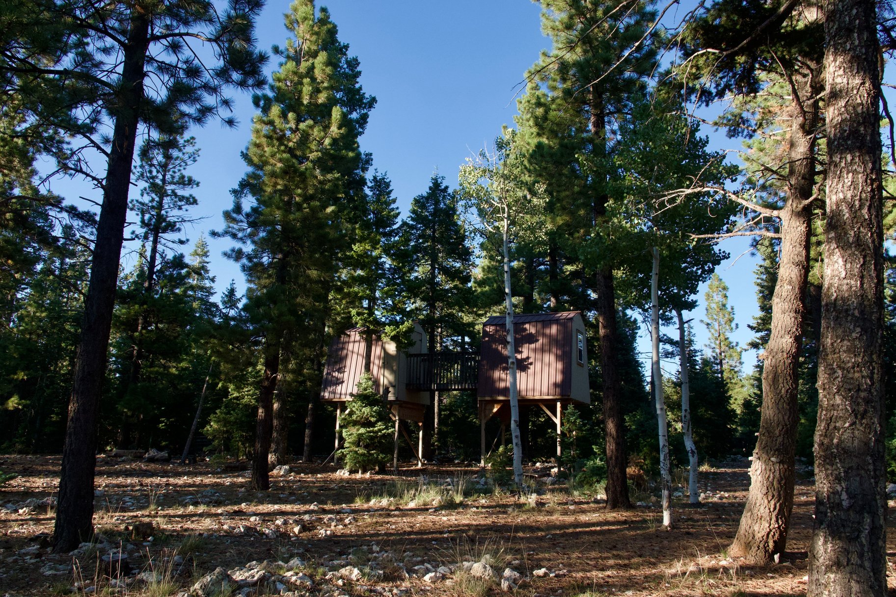  Charming A-Frame Retreat Backing National Forest With Panoramic Views - 物件實景