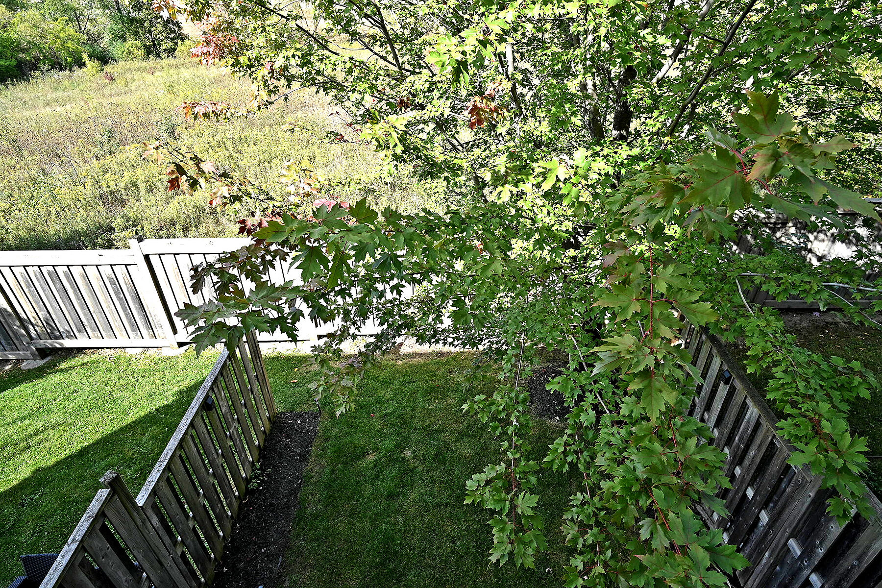  Brampton, Greater Toronto Area - 物件實景