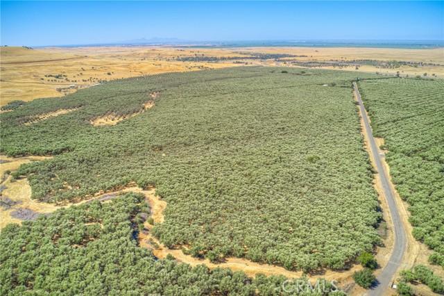 Oroville, California, 95965, United States, ,Land,For Sale,1978815