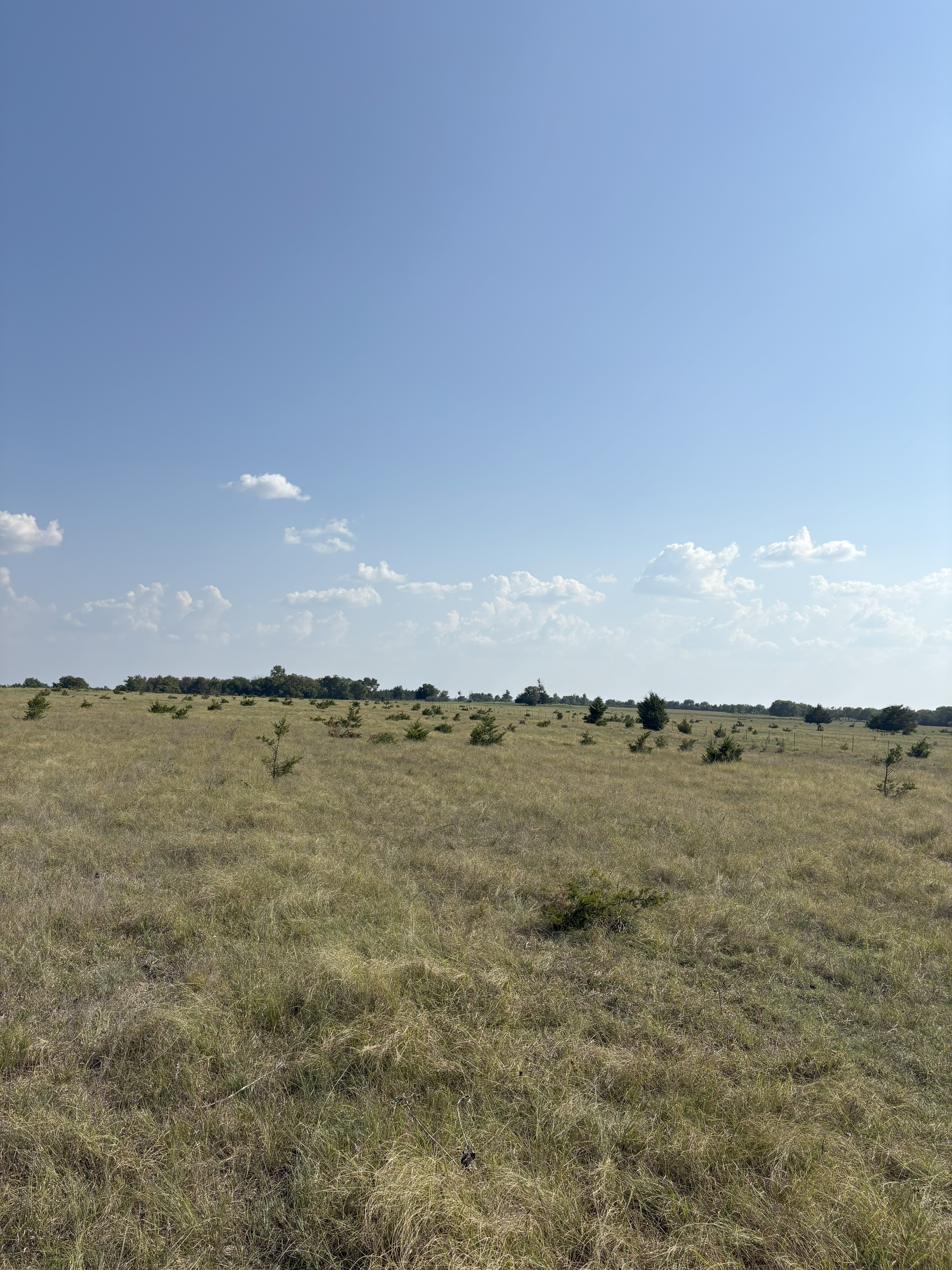 Roxton, Texas, 75477, United States, ,Land,For Sale,1979032