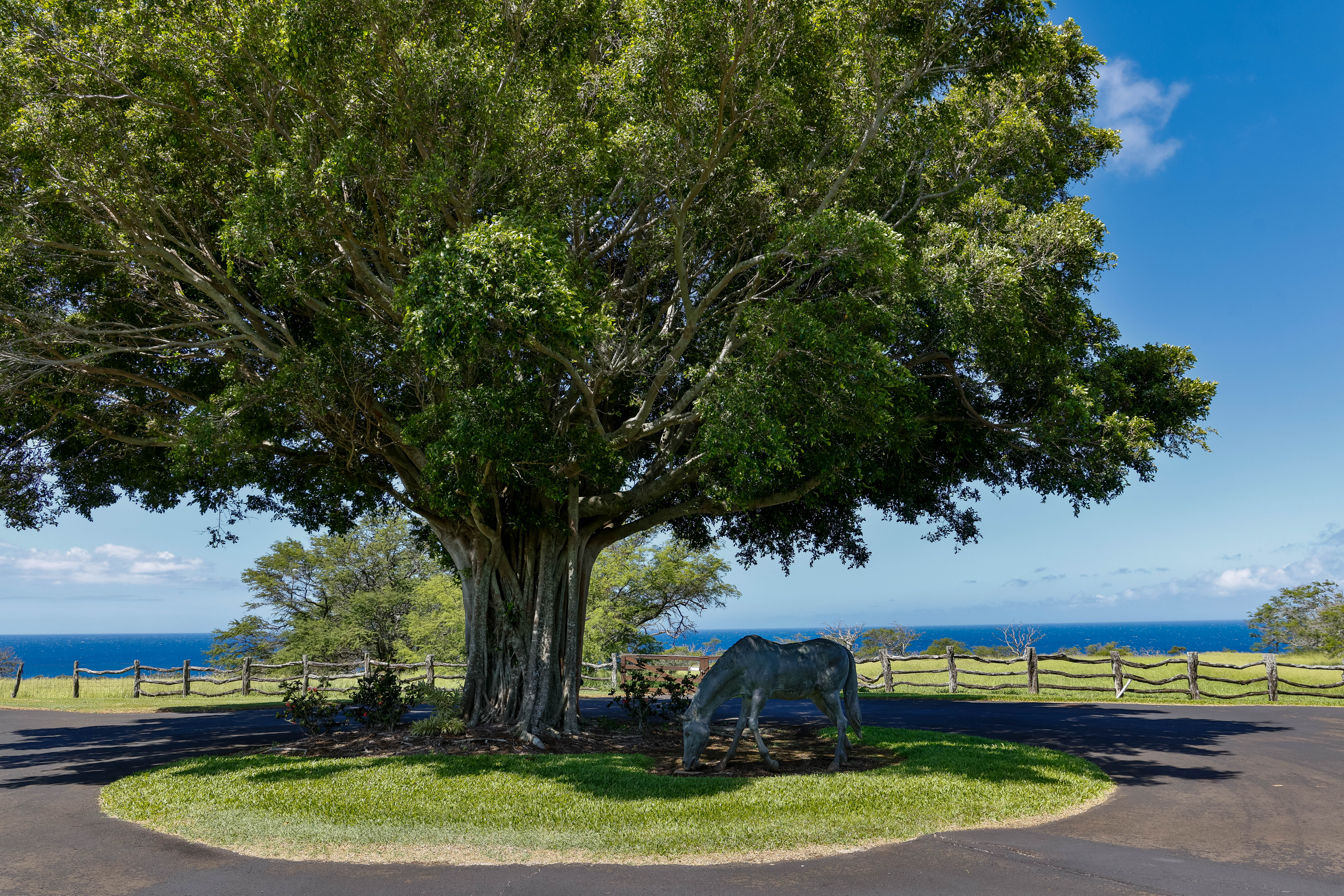 Hawi, Hawaii, 96719, United States, ,Land,For Sale,1758944