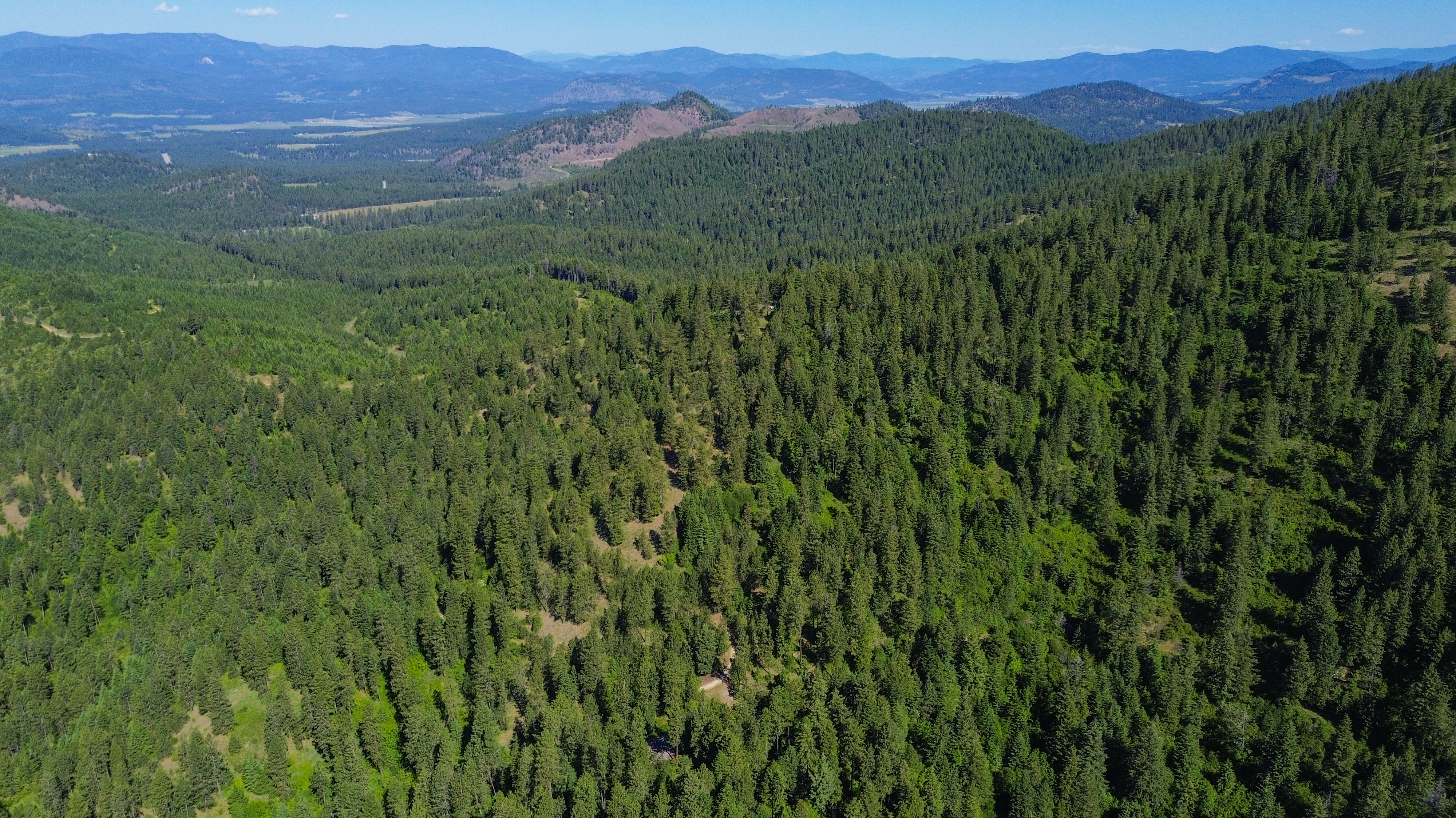 Loon Lake, Washington, 99148, United States, ,Residential,For Sale,1922836