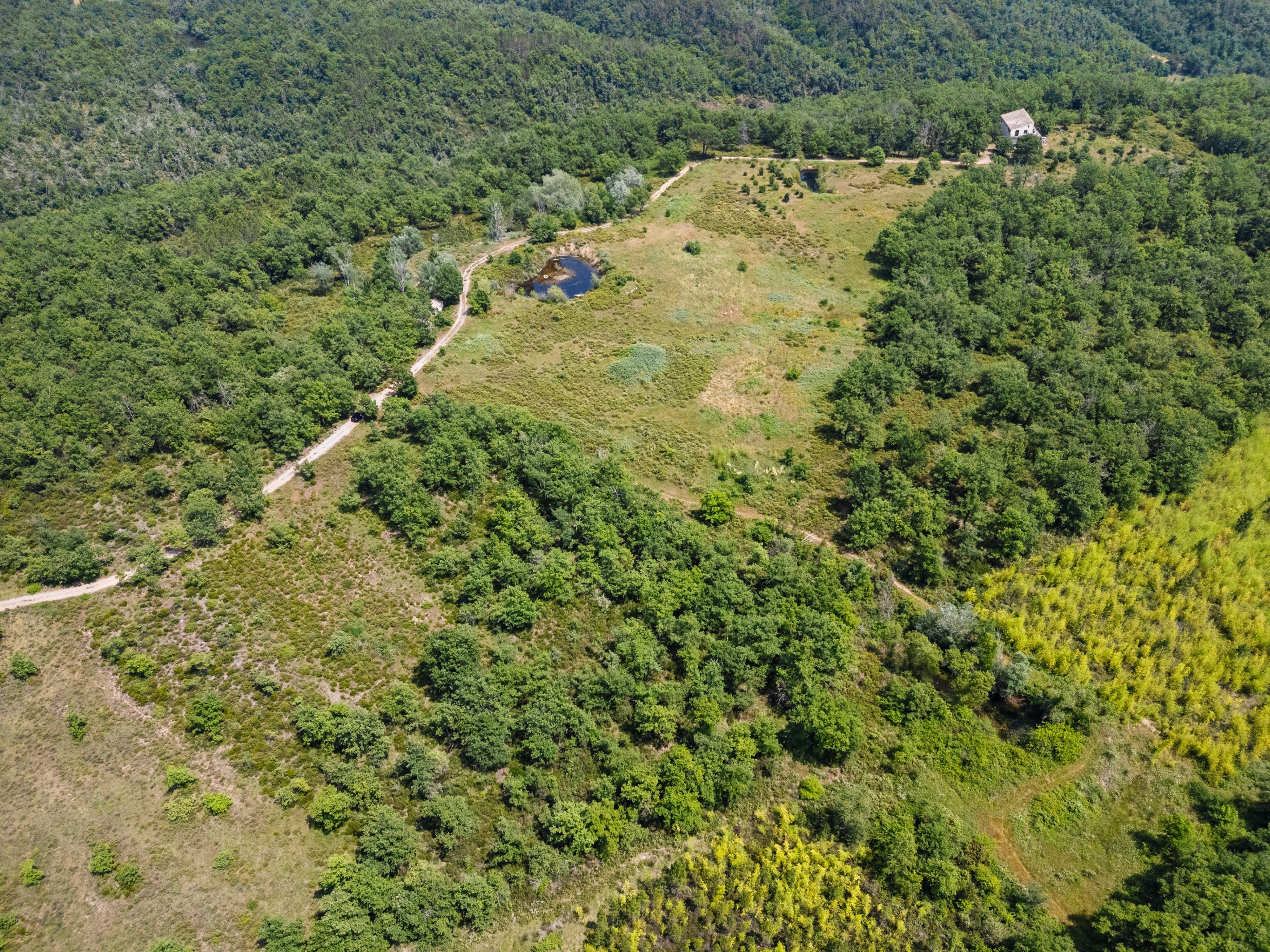  Organic estate with vineyard potential and panoramic views, over 44 Hectares in… - 物件實景