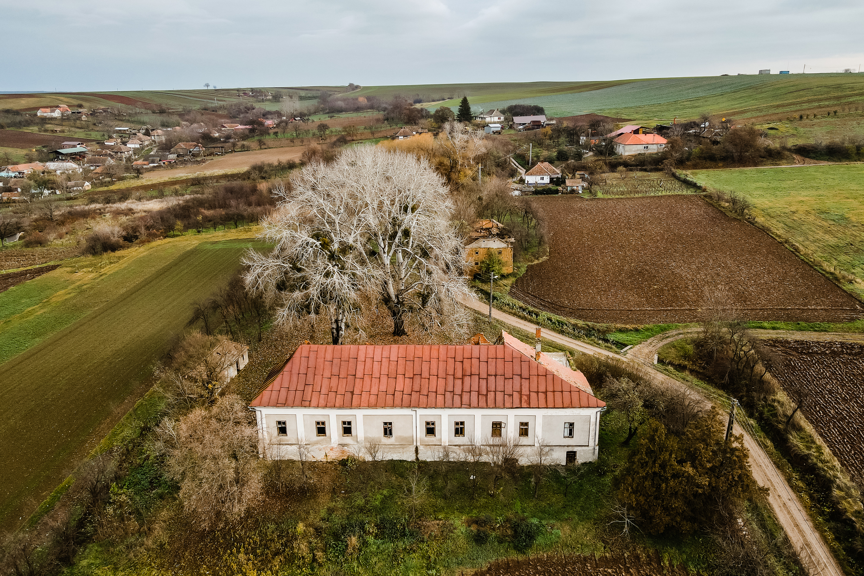  The Bónis Manor from Cubulcut - A Retreat of the Hungarian Crown - 物件實景