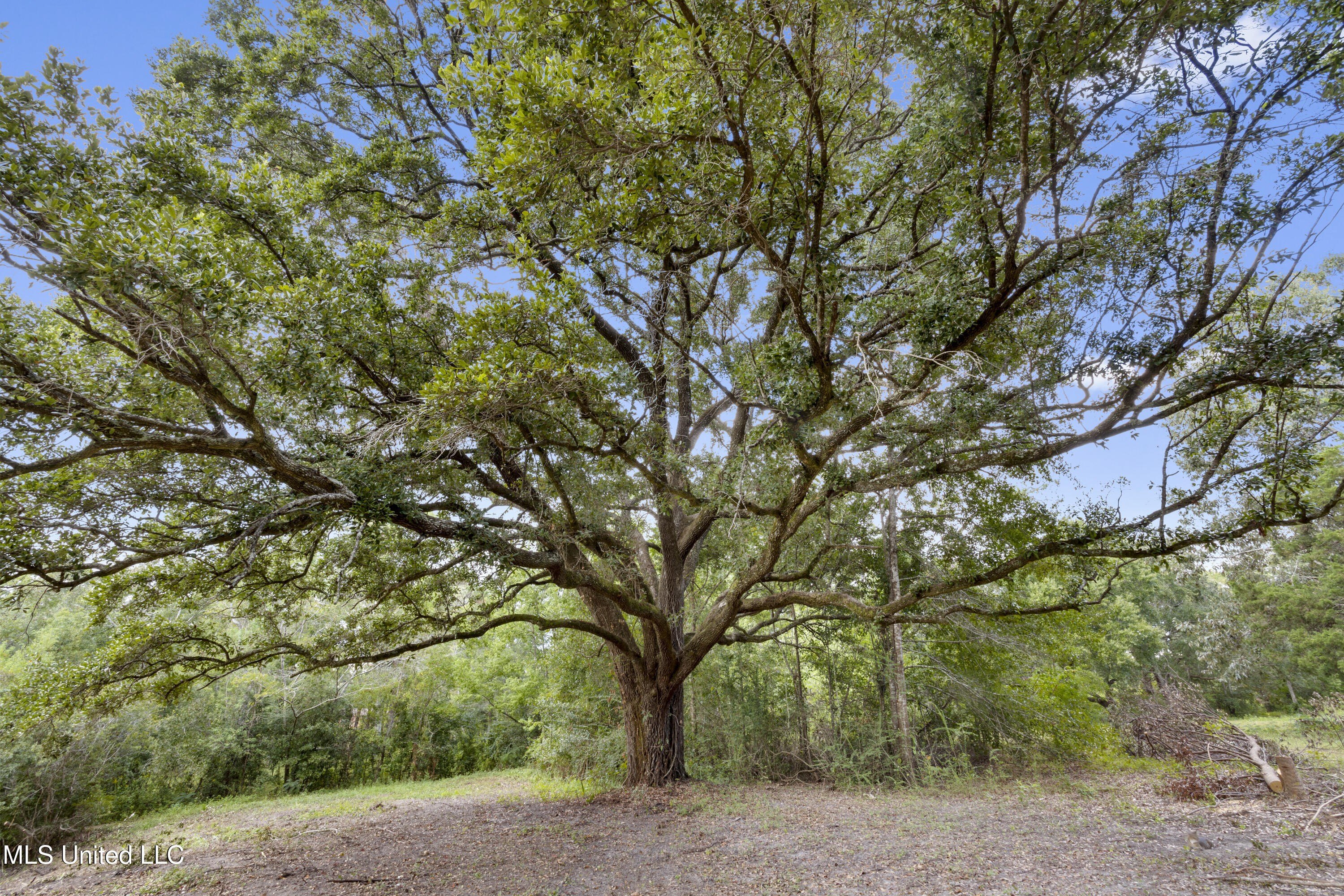 Biloxi, Mississippi, 39532, United States, 3 Bedrooms Bedrooms, ,2 BathroomsBathrooms,Residential,For Sale,1977192