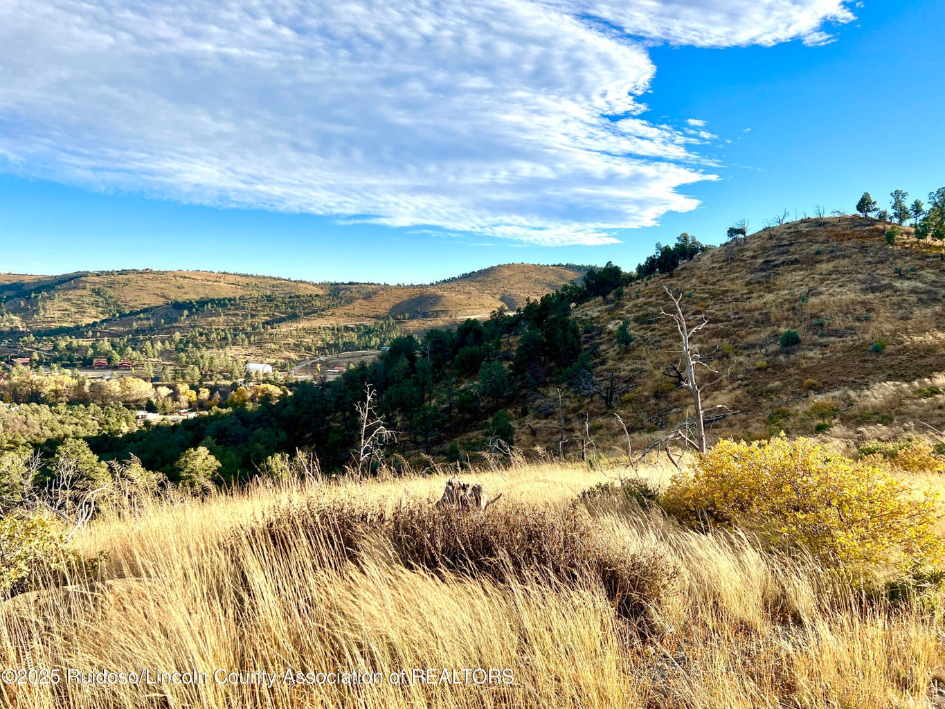 Nogal, New Mexico, 88341, United States, ,Land,For Sale,1988208