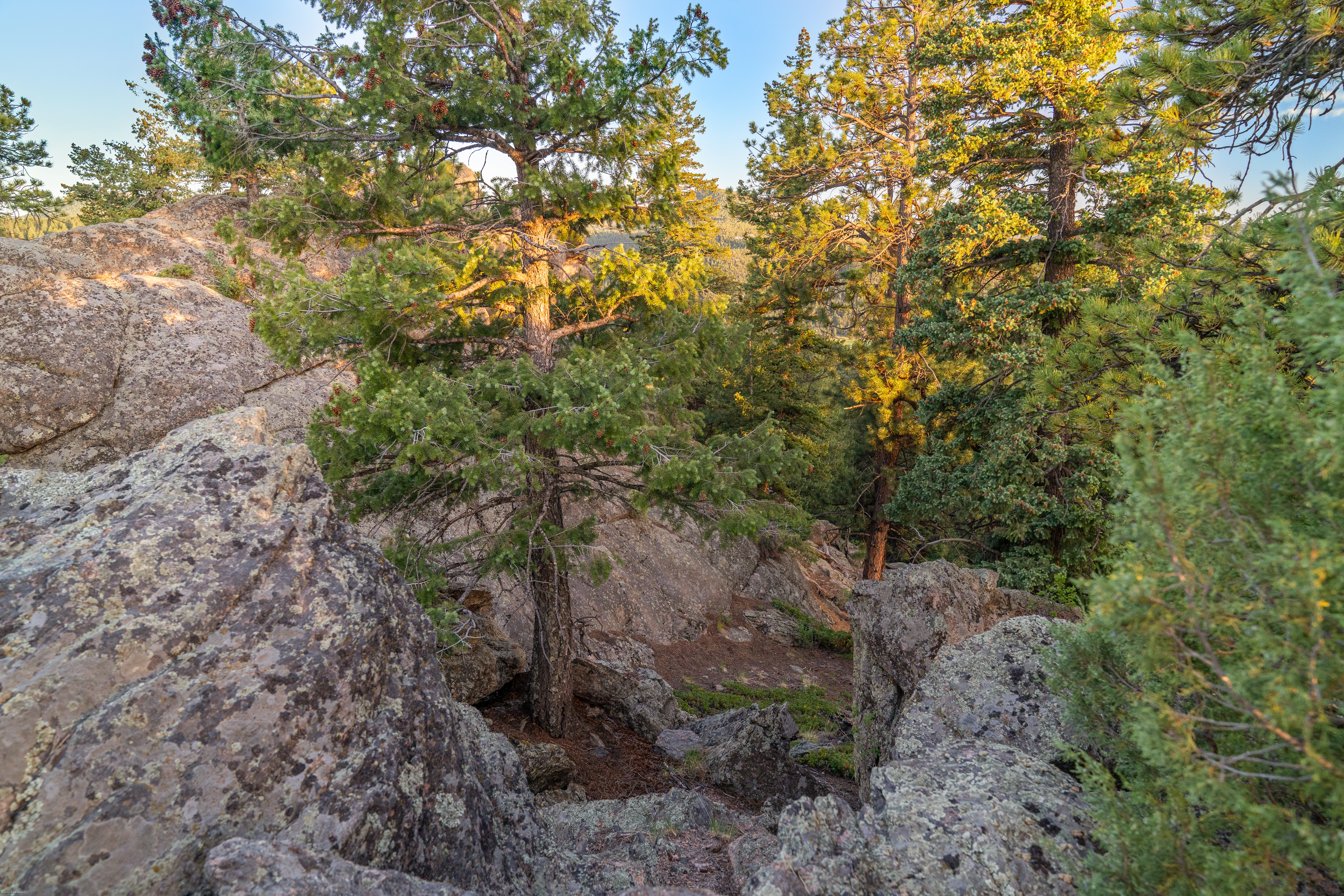  Acreage Available in Evergreen