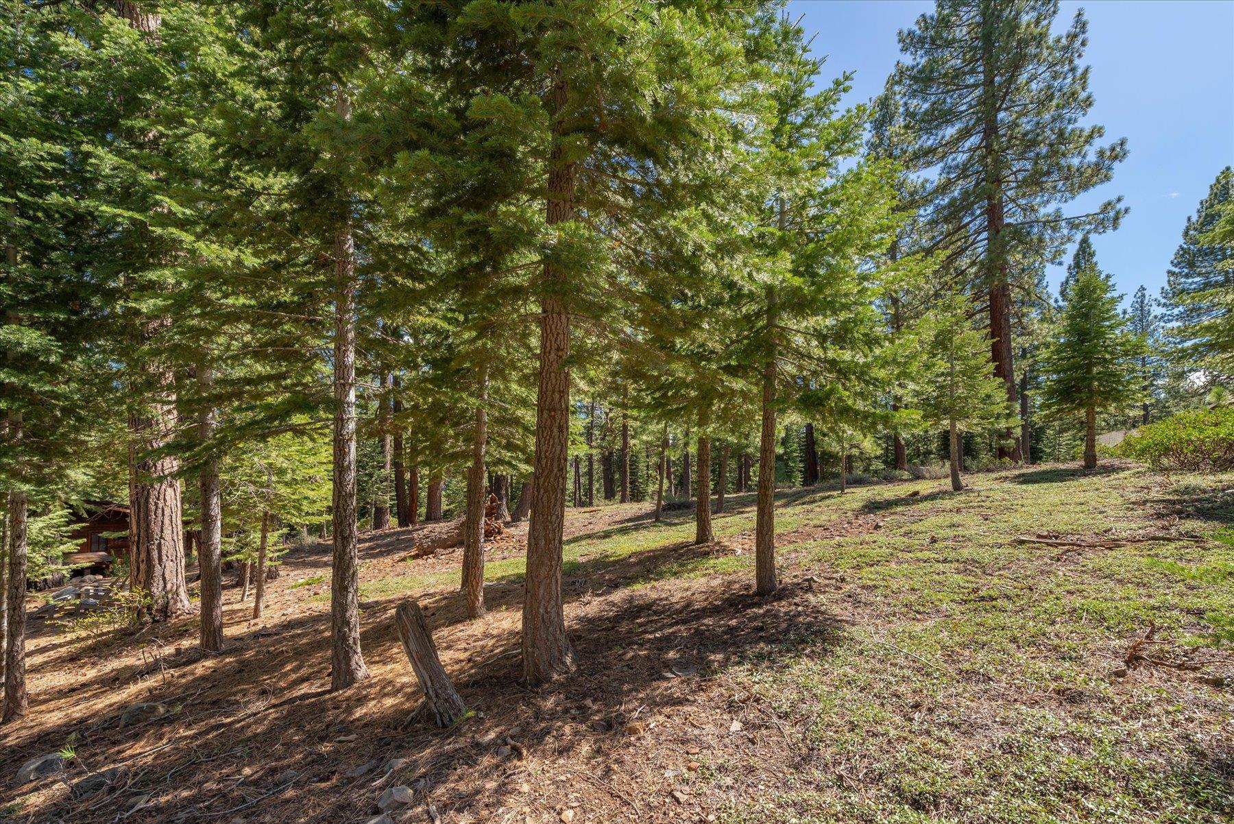 Truckee, California, 96161, United States, ,Land,For Sale,1828145