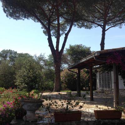 Via Tamerice, Sabaudia, Latina, 04016, IT, 5 Bedrooms Bedrooms, ,4 BathroomsBathrooms,Residential,For Sale,Via Tamerice,1611092