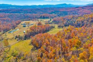 Fincastle, Virginia, 24090, United States, ,Residential,For Sale,1989448