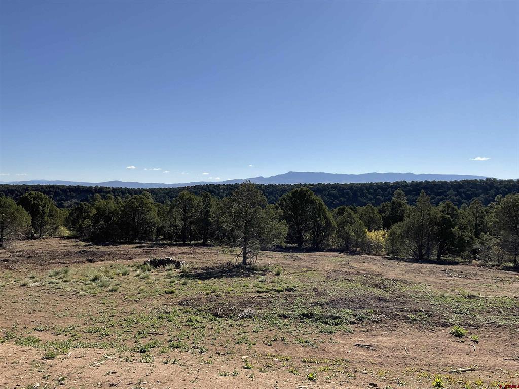 Montrose, Colorado, 81403, United States, ,Land,For Sale,1919926